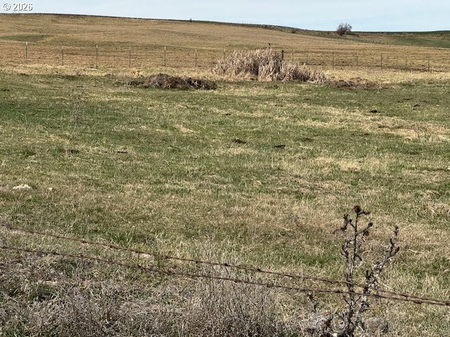 38901 Highway 86 Property Photo 9