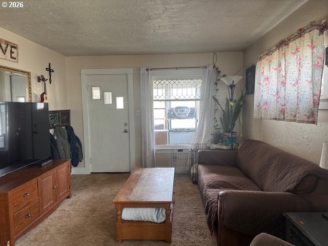 38901 Highway 86 Property Photo 17