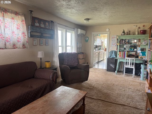 38901 Highway 86 Property Photo 18