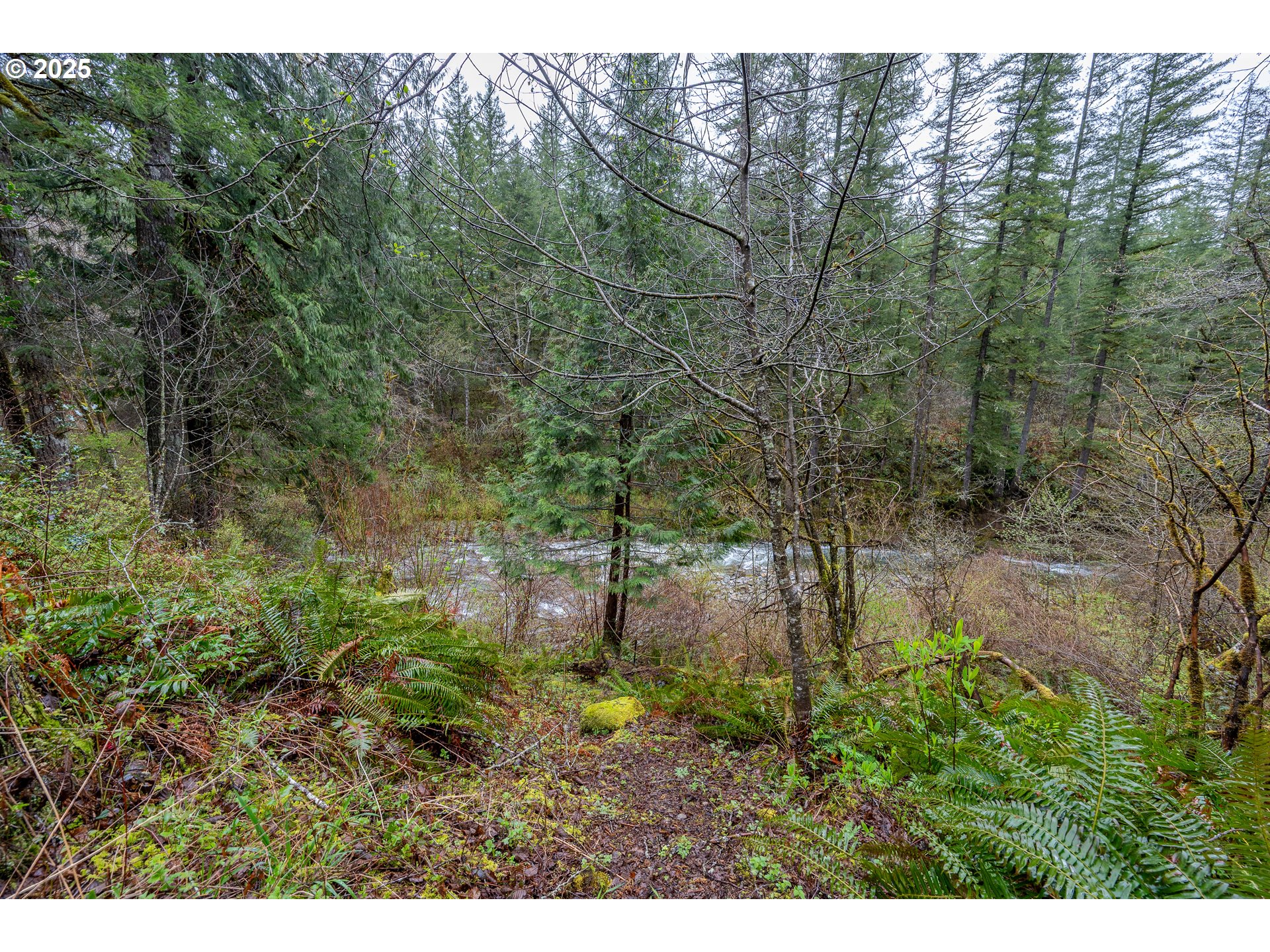 1261 Mathews Rd Property Photo 34