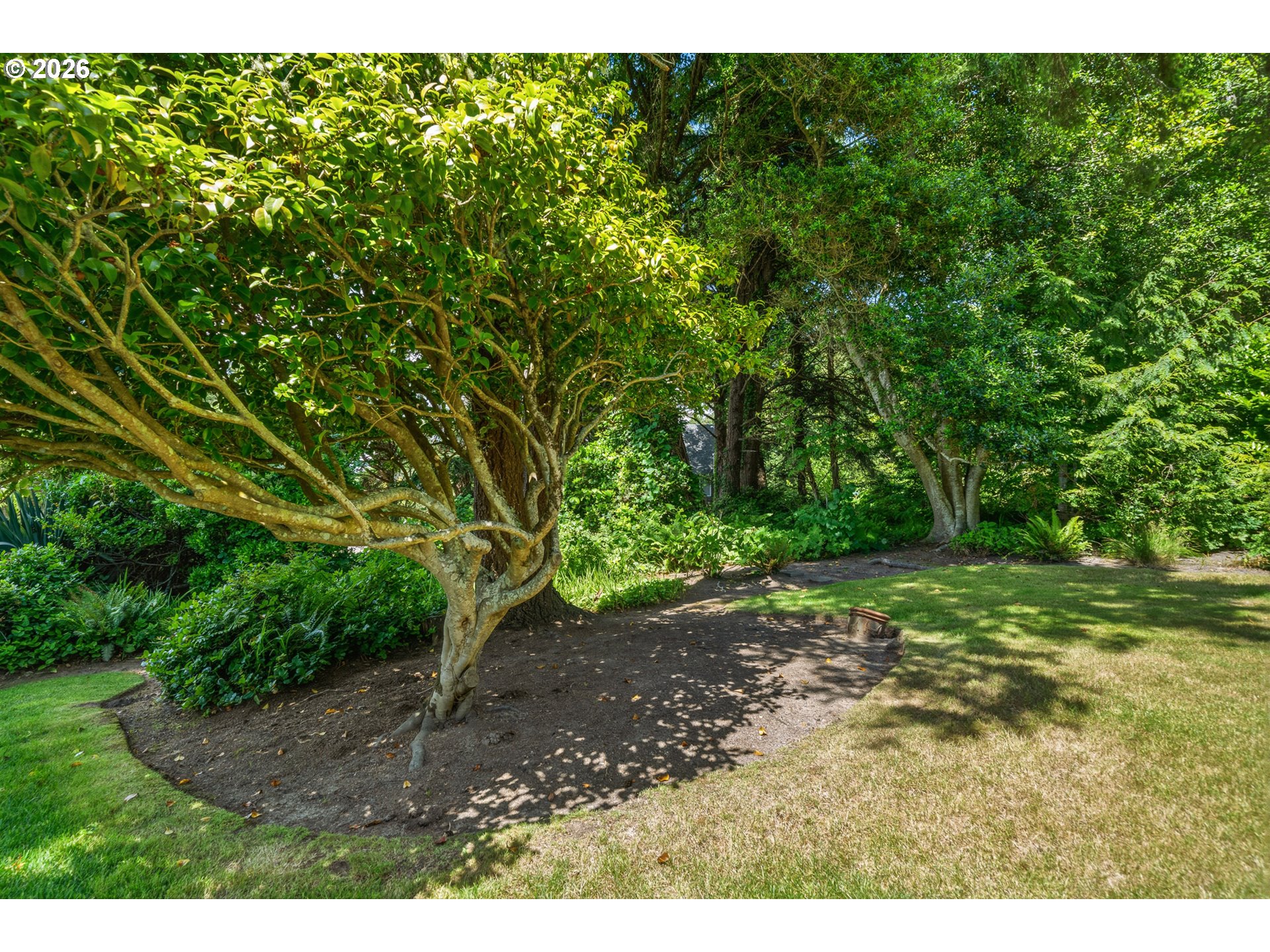4131 Hemlock St Property Photo 41
