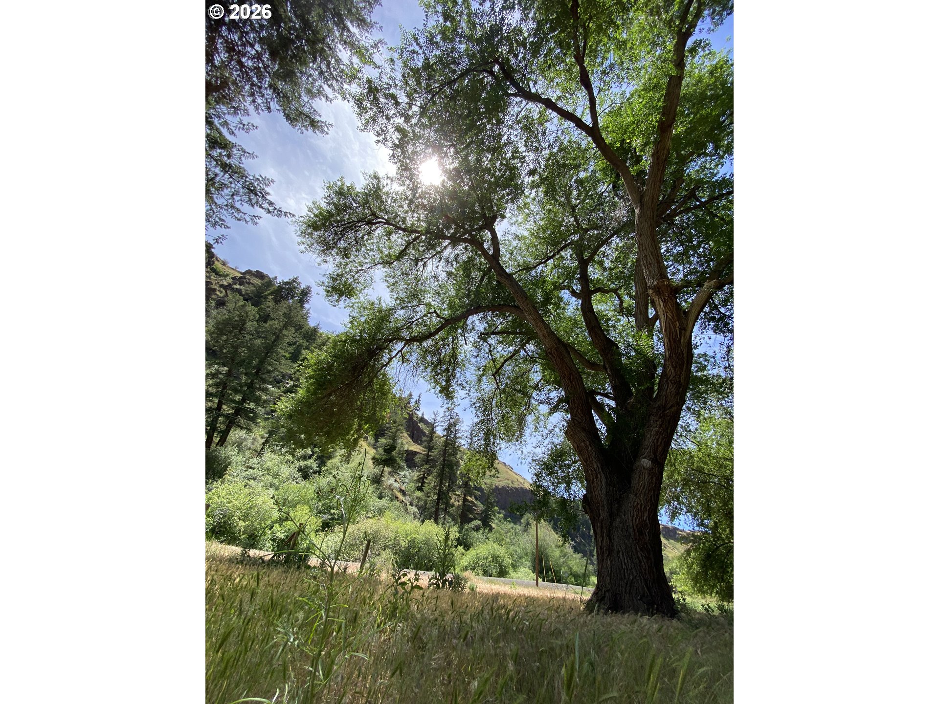74170 Imnaha Highway Property Photo 1