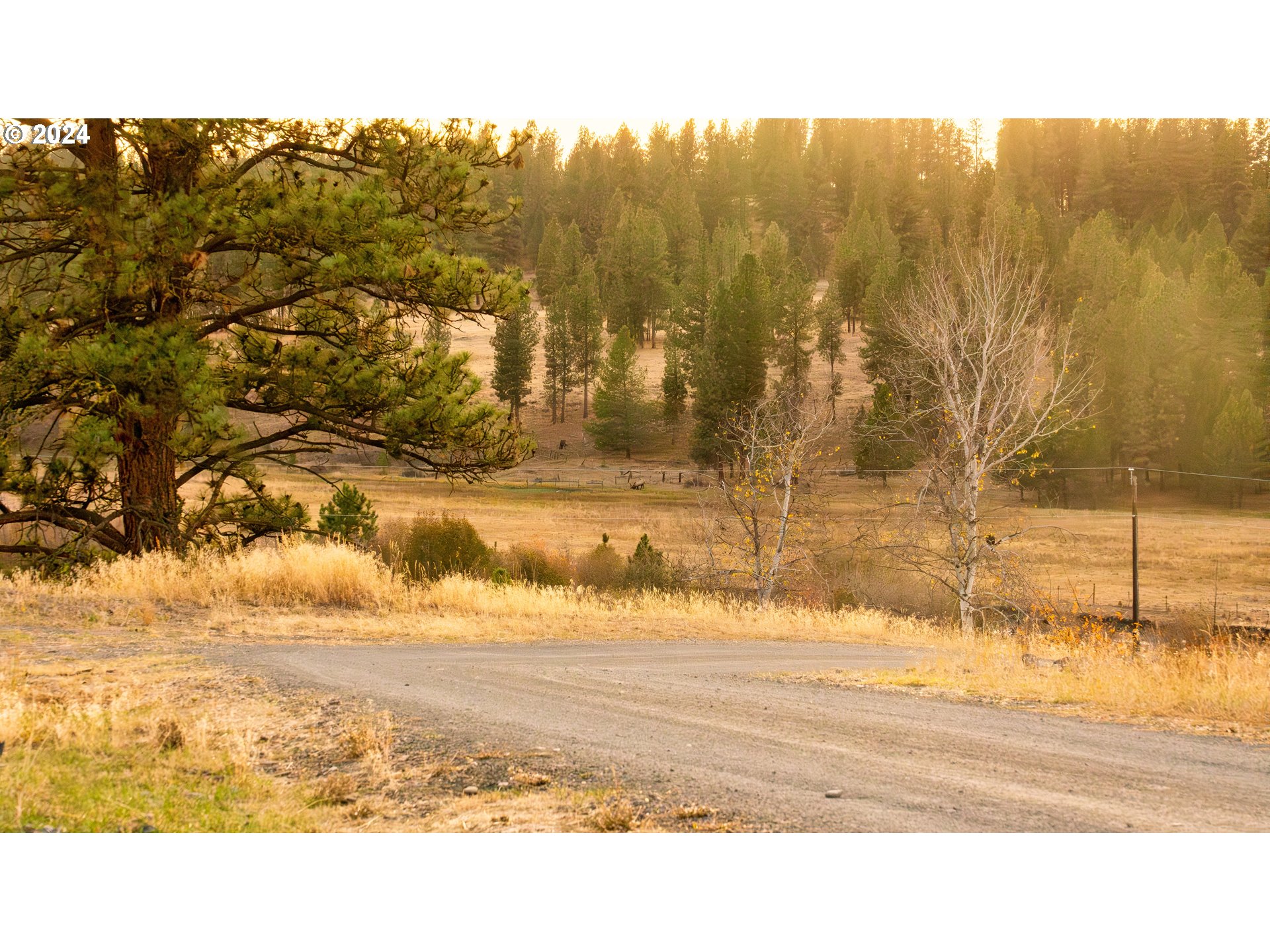 54508 Coombs Loop Property Photo 42