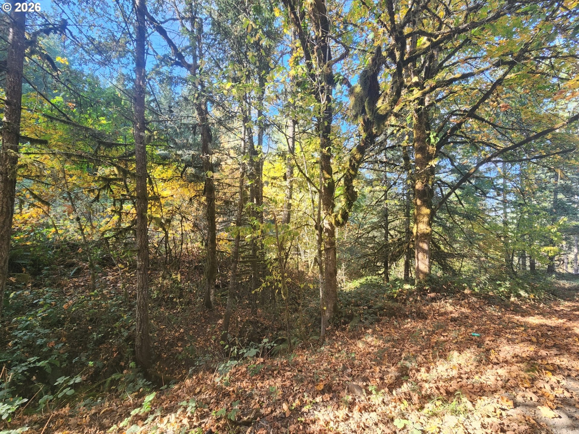85266 Chezem Rd Property Photo 10