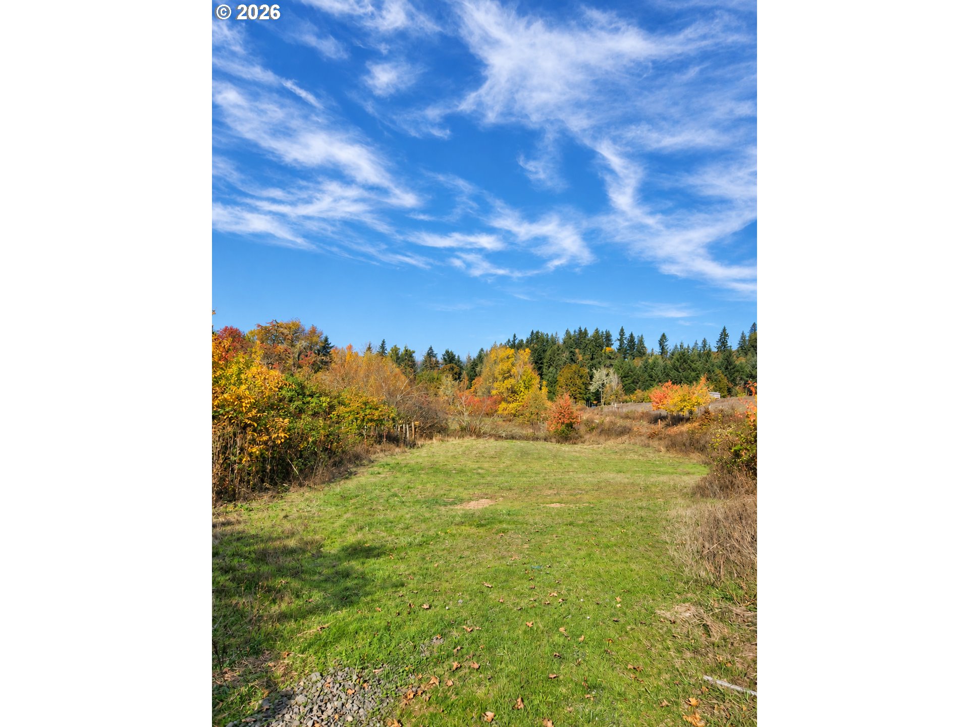 85266 Chezem Rd Property Photo 20