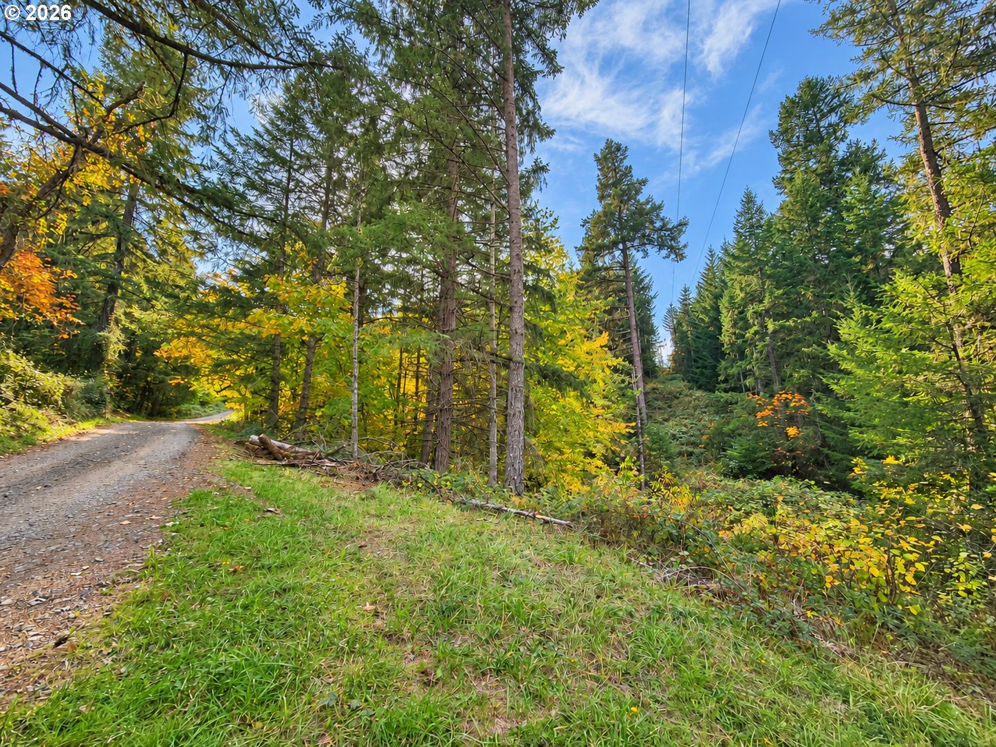 85266 Chezem Rd Property Photo 21