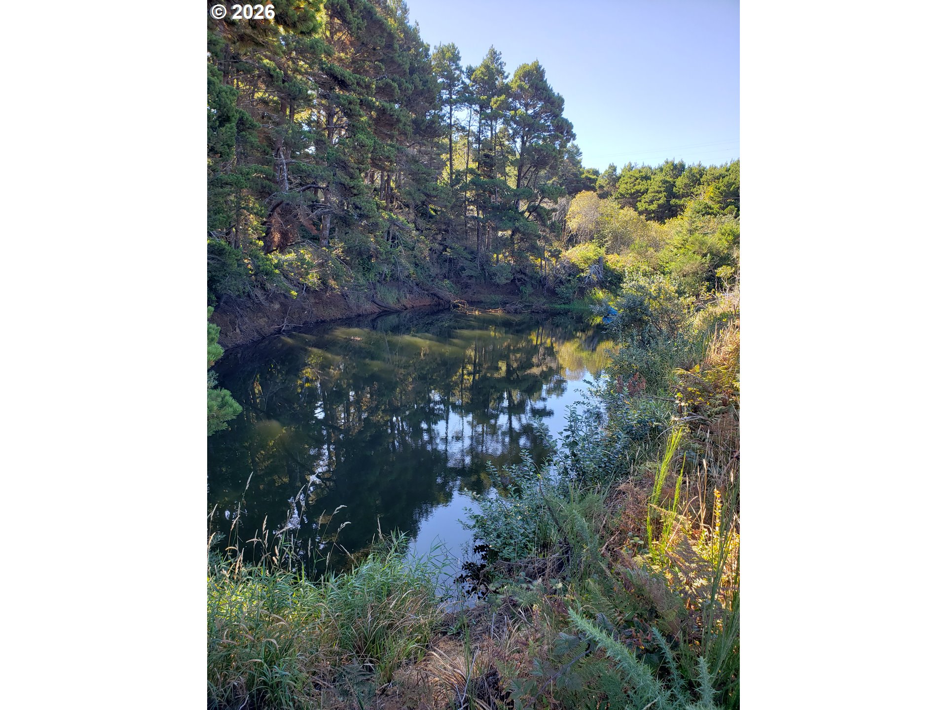 86449 Croft Lake Ln Property Photo 25