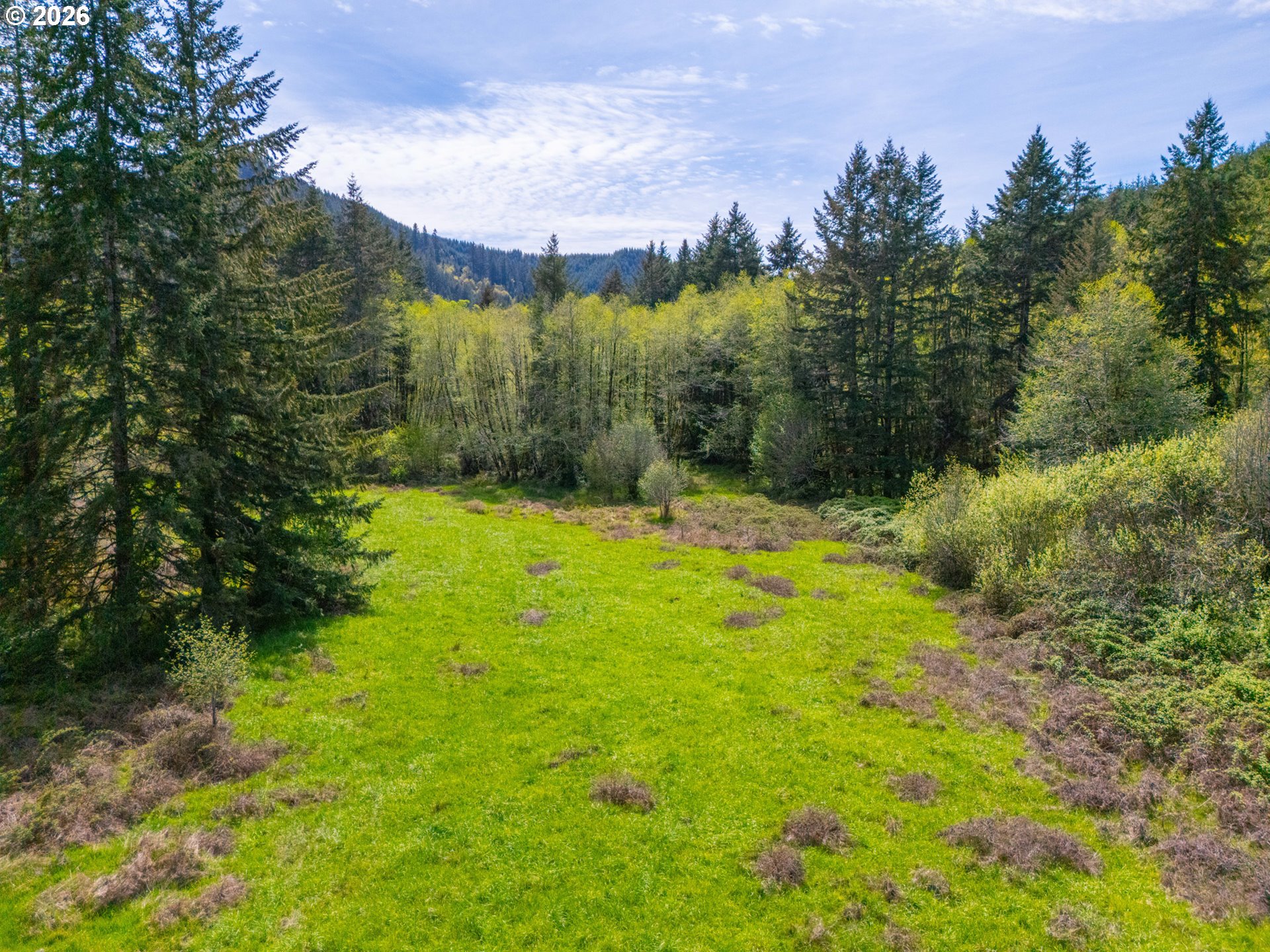Nelson Mountain Rd Tl200 Property Photo 1