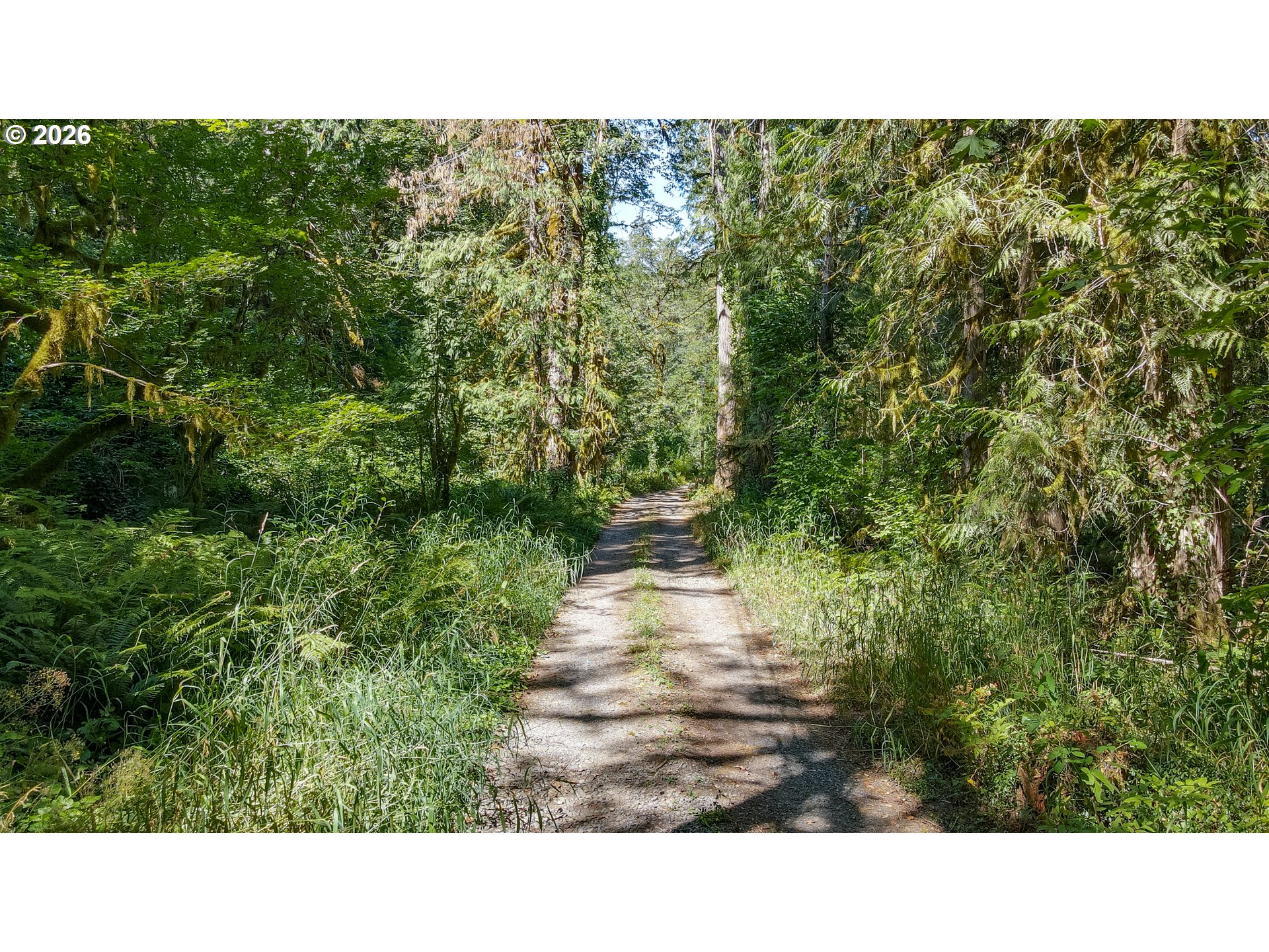 64281 E Brightwood Loop Rd Property Photo 13