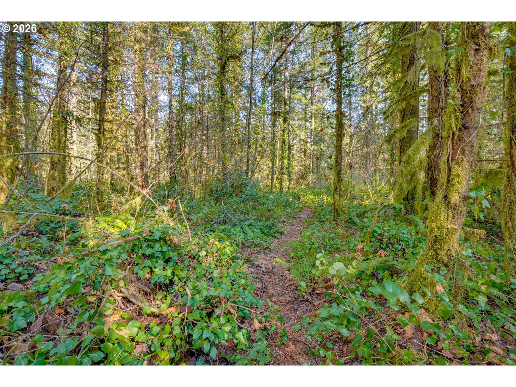 64281 E Brightwood Loop Rd Property Photo 20