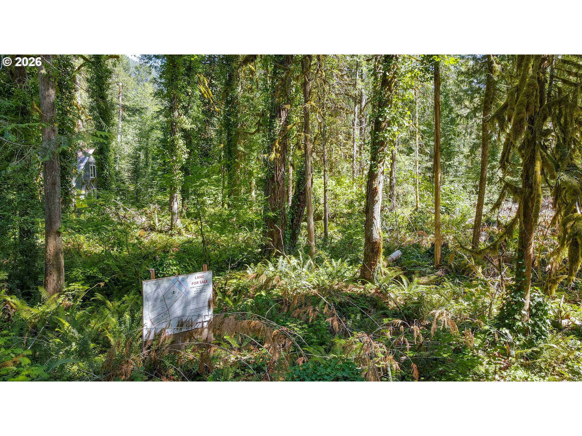 64281 E Brightwood Loop Rd Property Photo 24