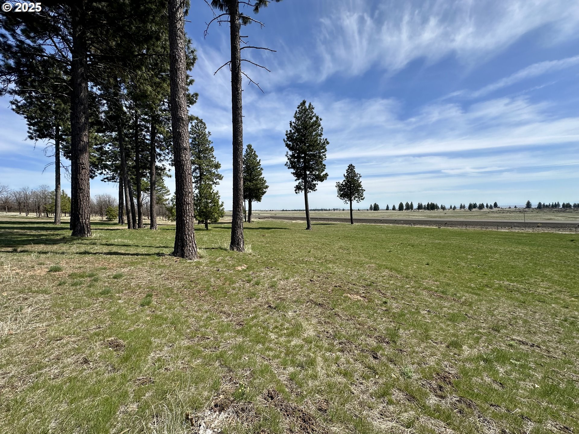 3021 Bickleton Hwy Property Photo 5