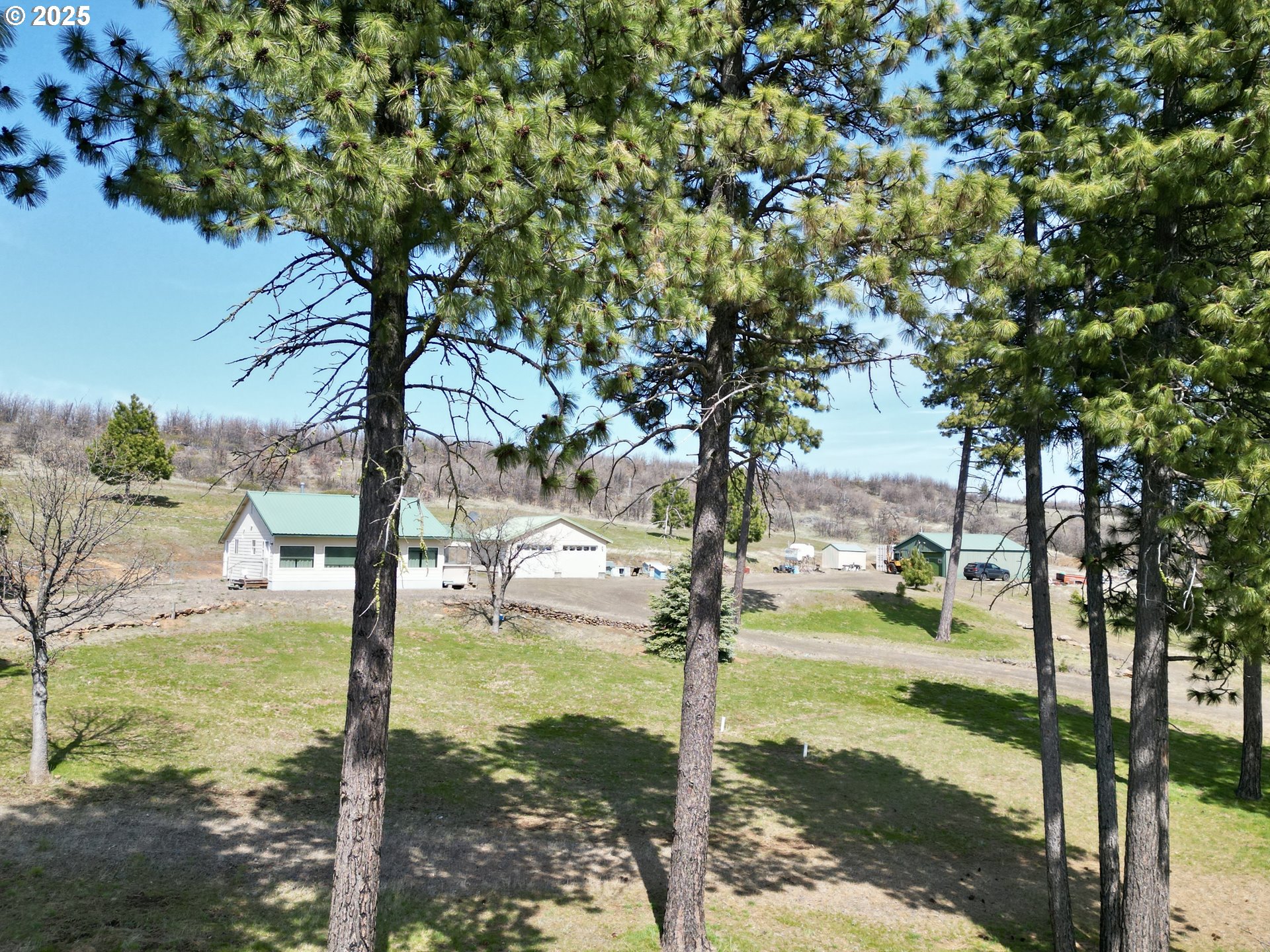 3021 Bickleton Hwy Property Photo 16