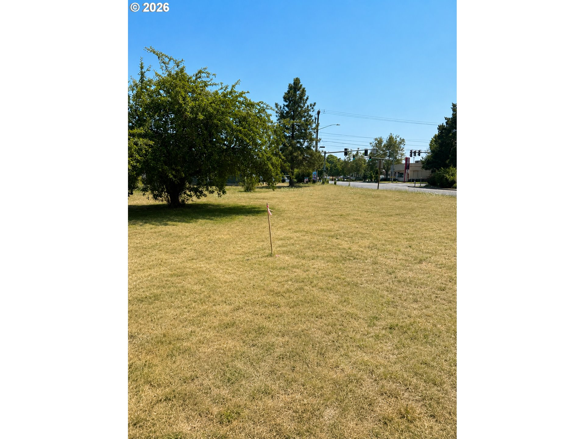ROYAL AVE 3 Property Photo 1