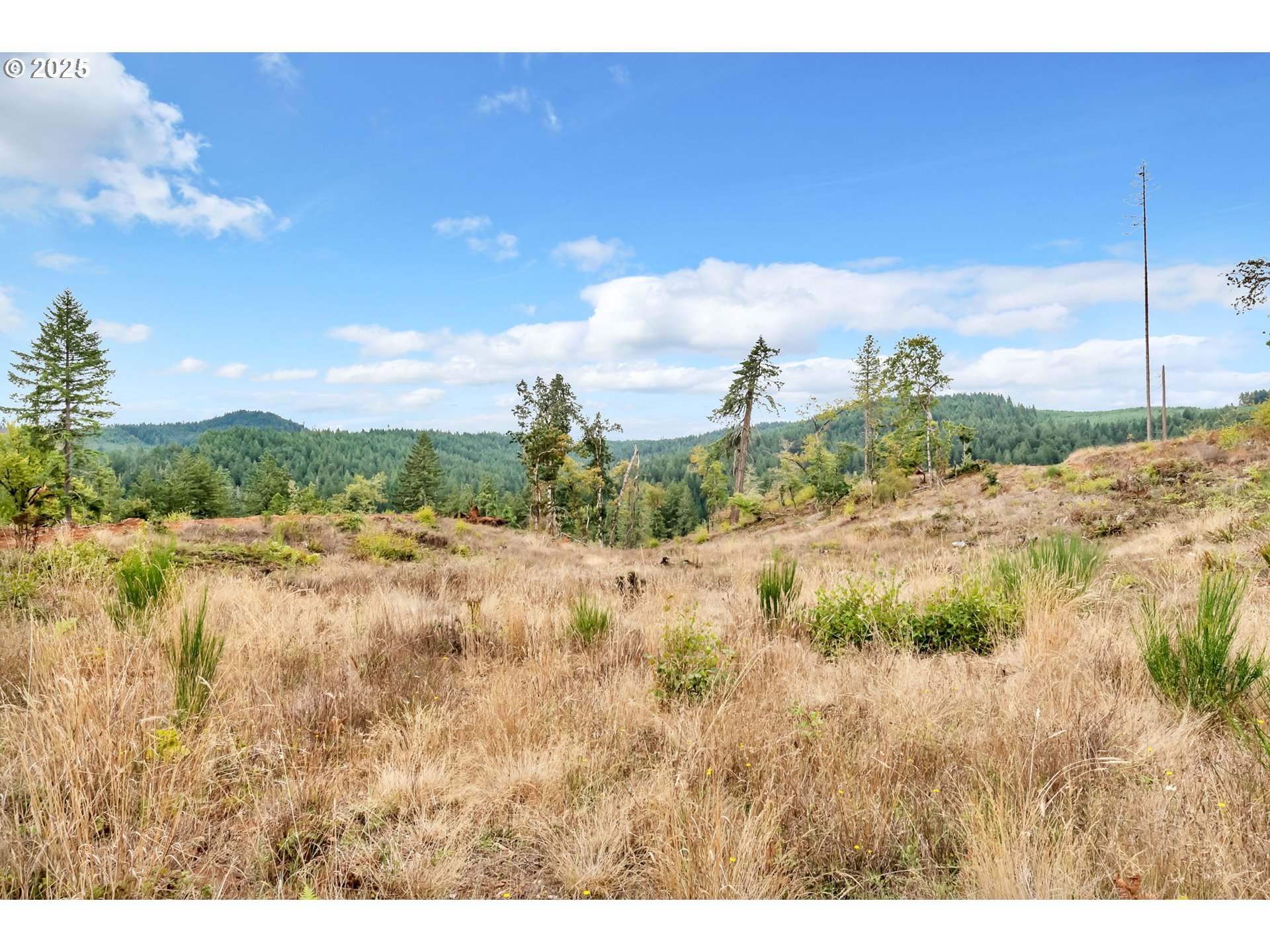 00 Sutherlin Ln Property Photo 13