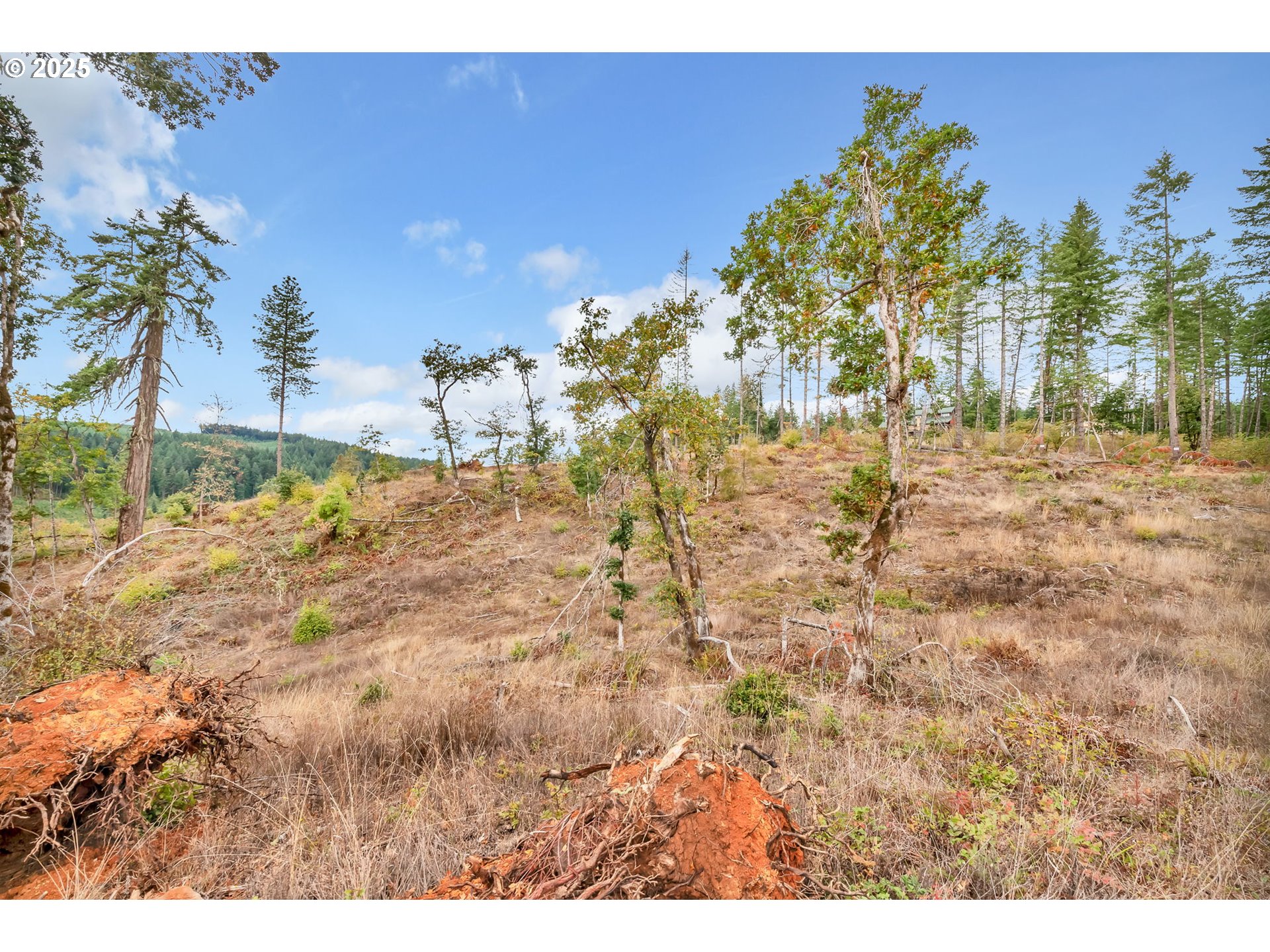 00 Sutherlin Ln Property Photo 18