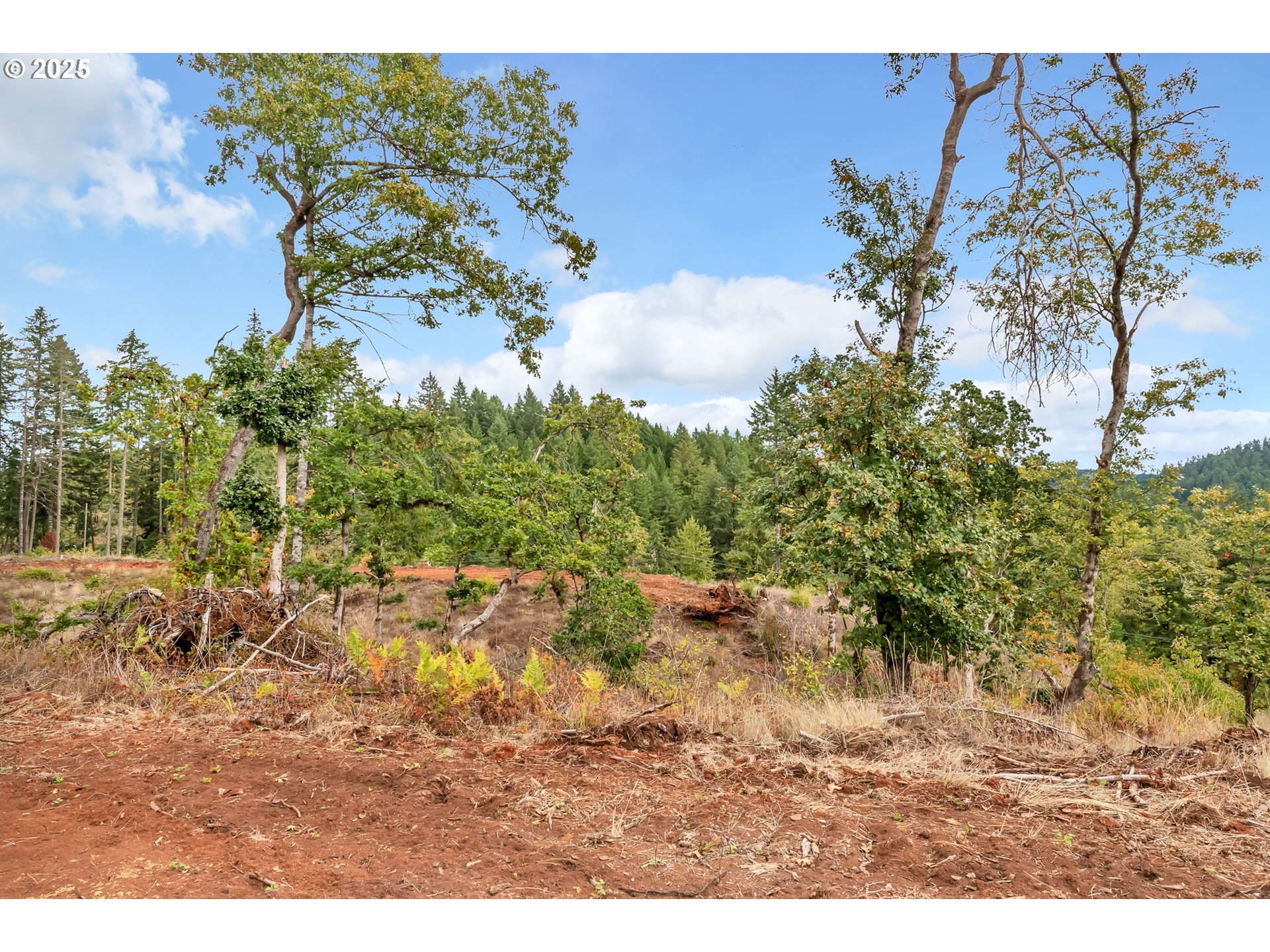 00 Sutherlin Ln Property Photo 28