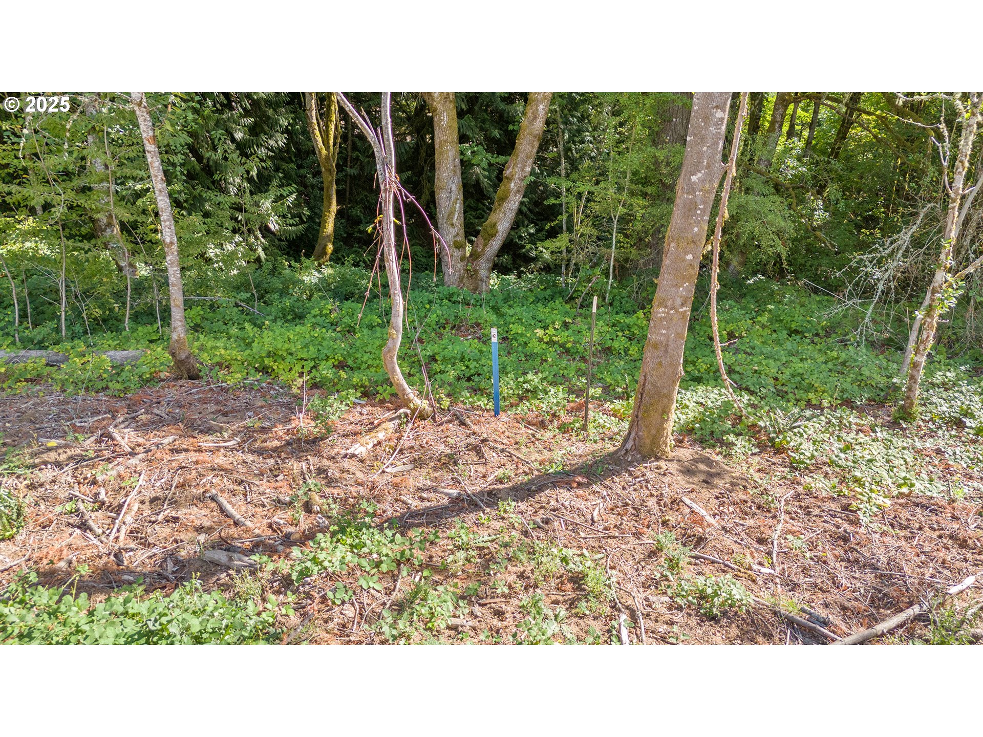20194 Sw Kruger Rd Property Photo 10