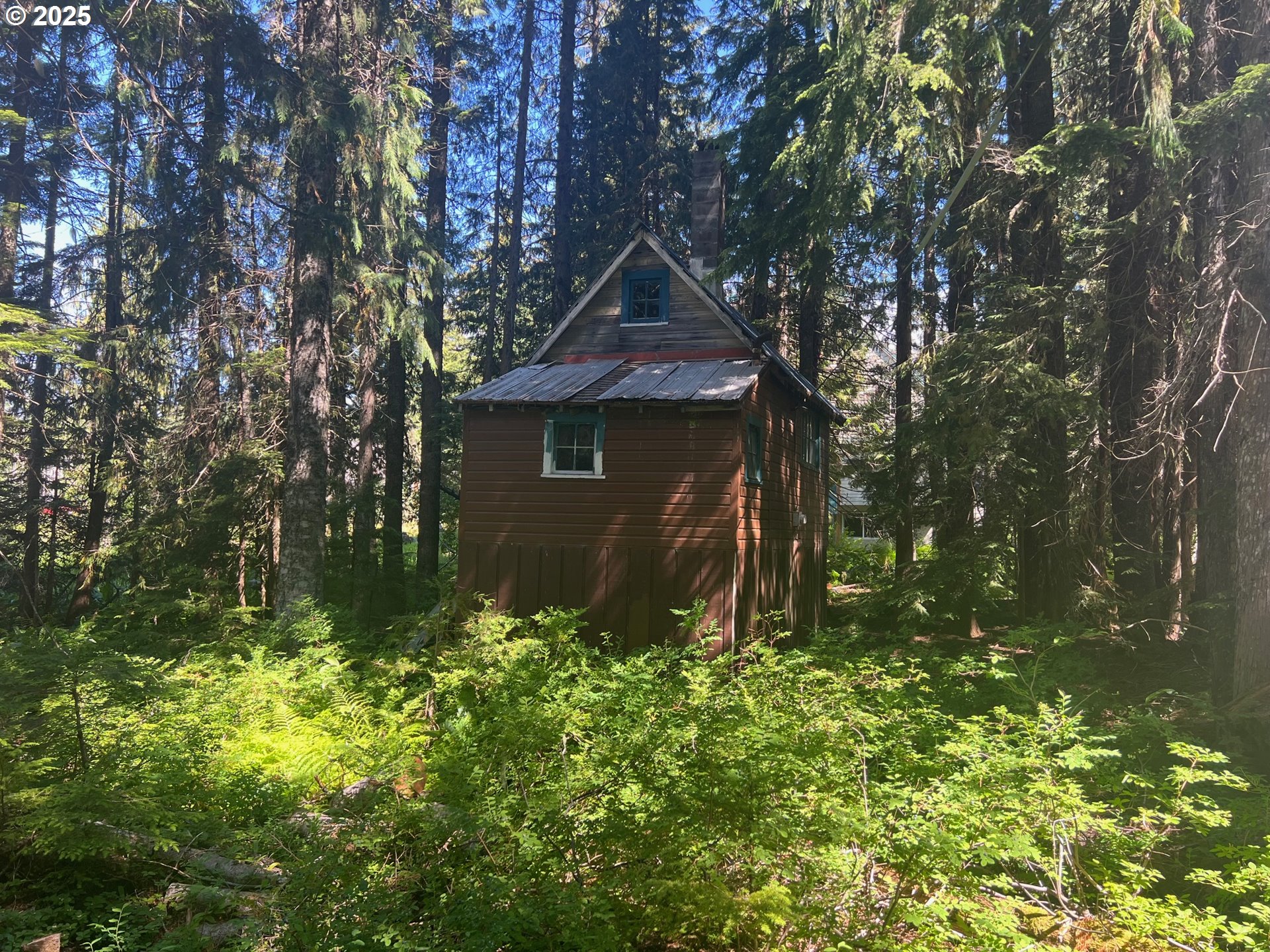 88792 E Government Camp Loop Property Photo 5