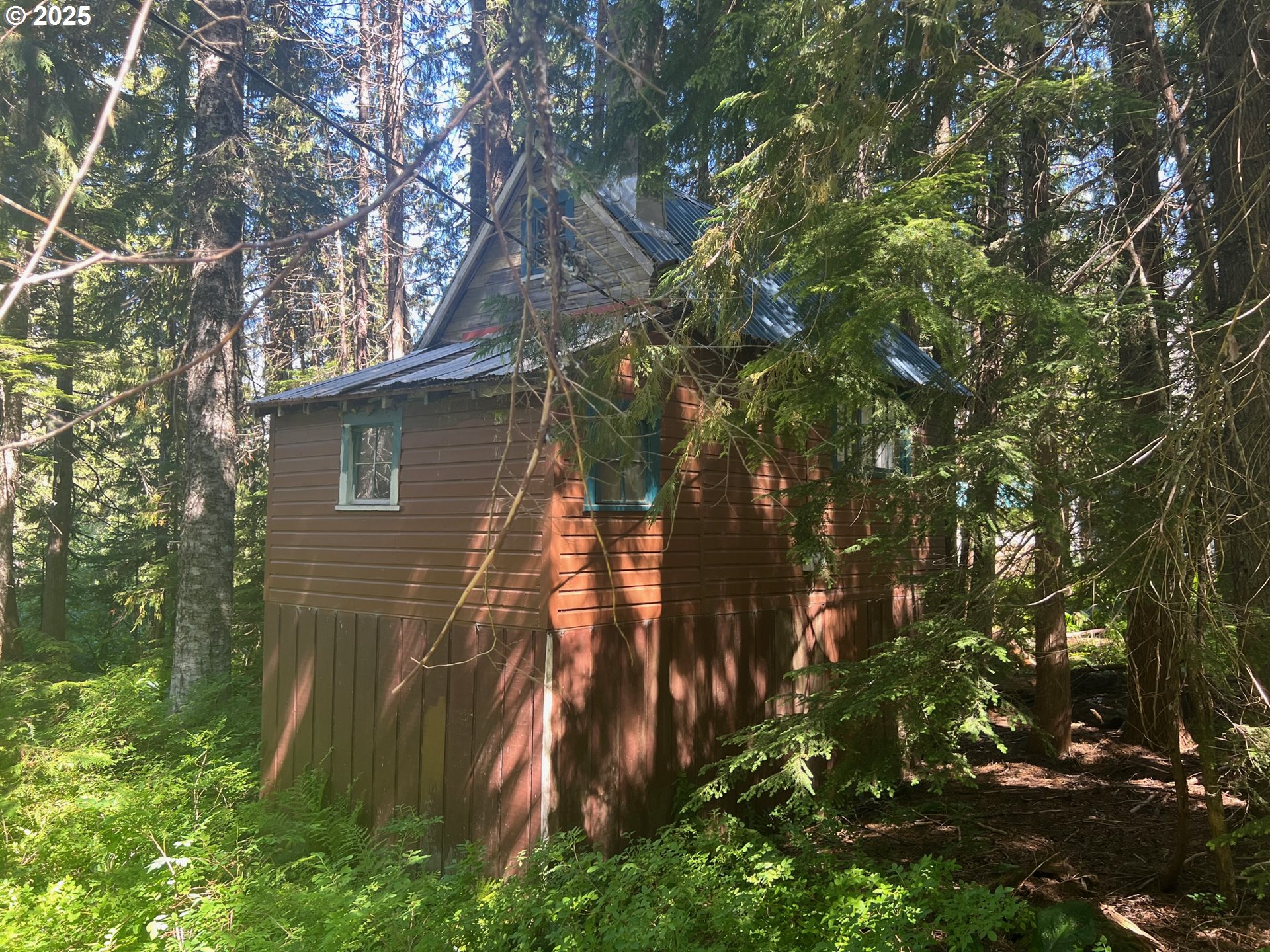 88792 E Government Camp Loop Property Photo 6