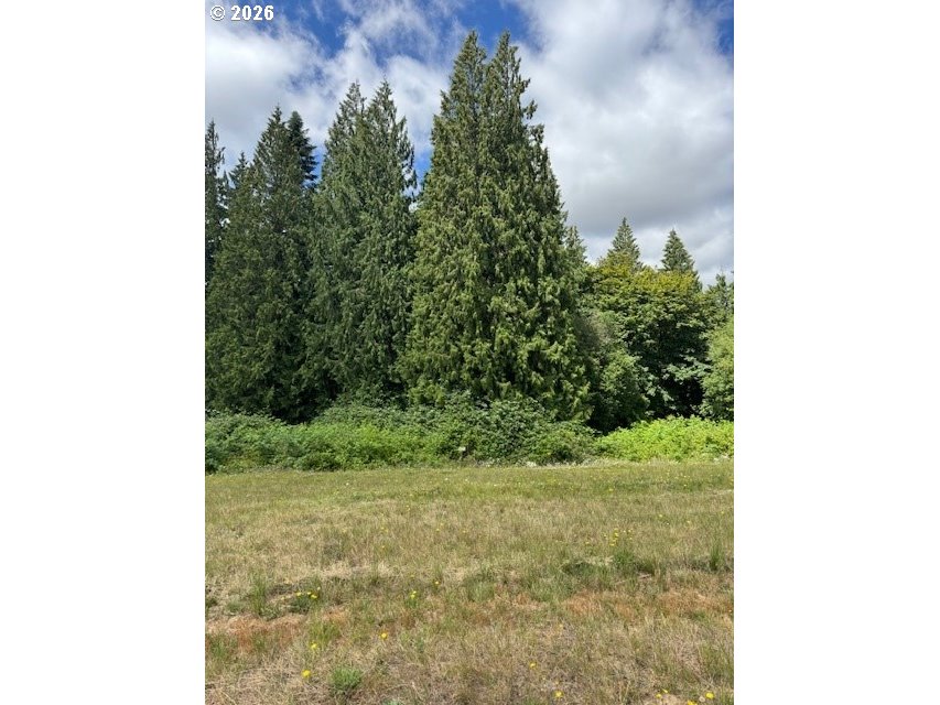 16906 Ne 35th Ave Property Photo 14