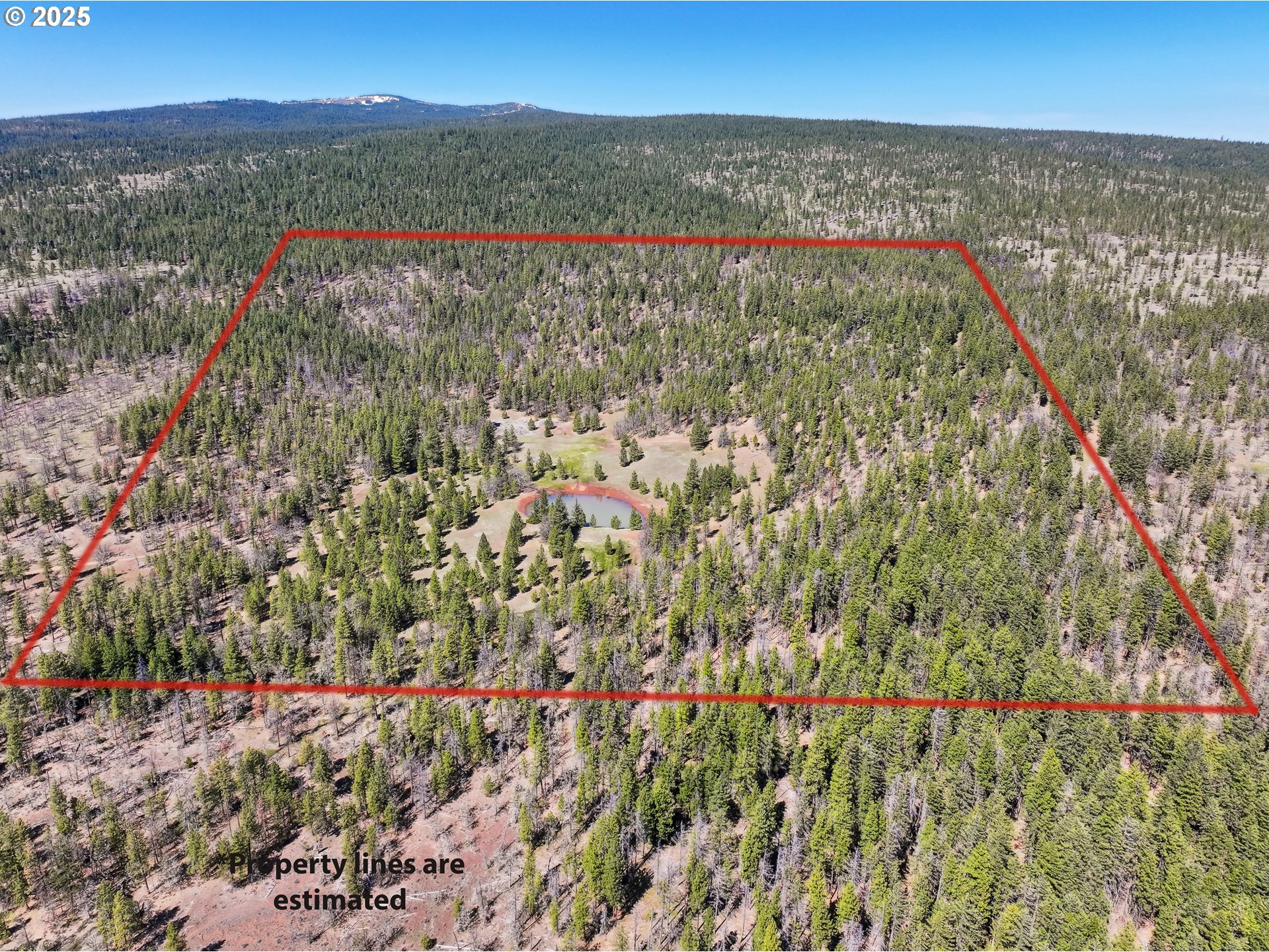 Nka Tyler Rd Property Photo 1