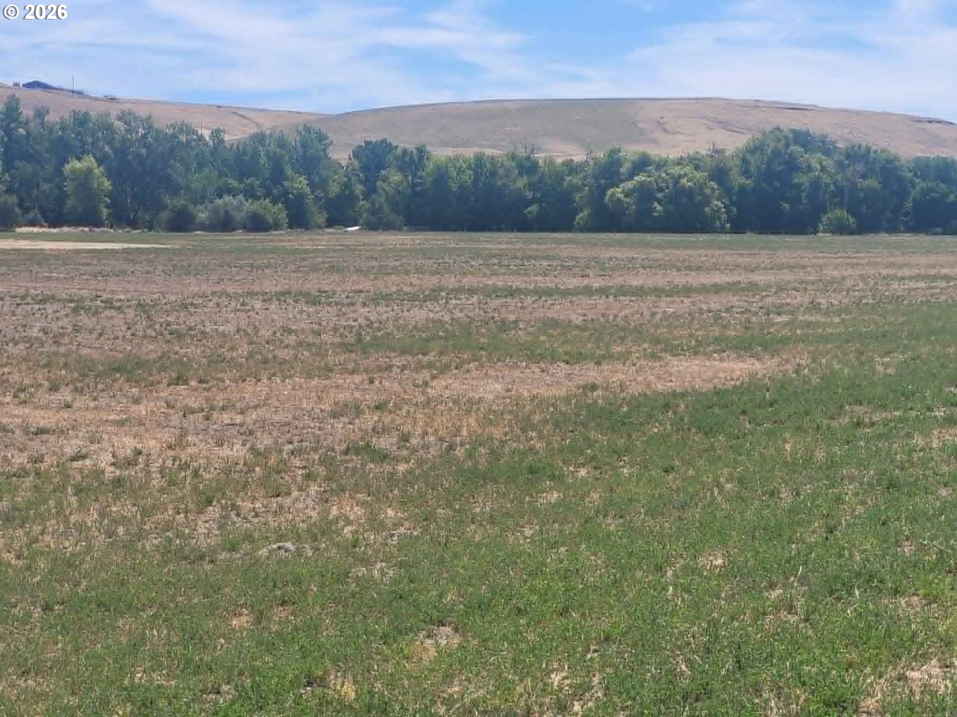 Haney Property Photo 1