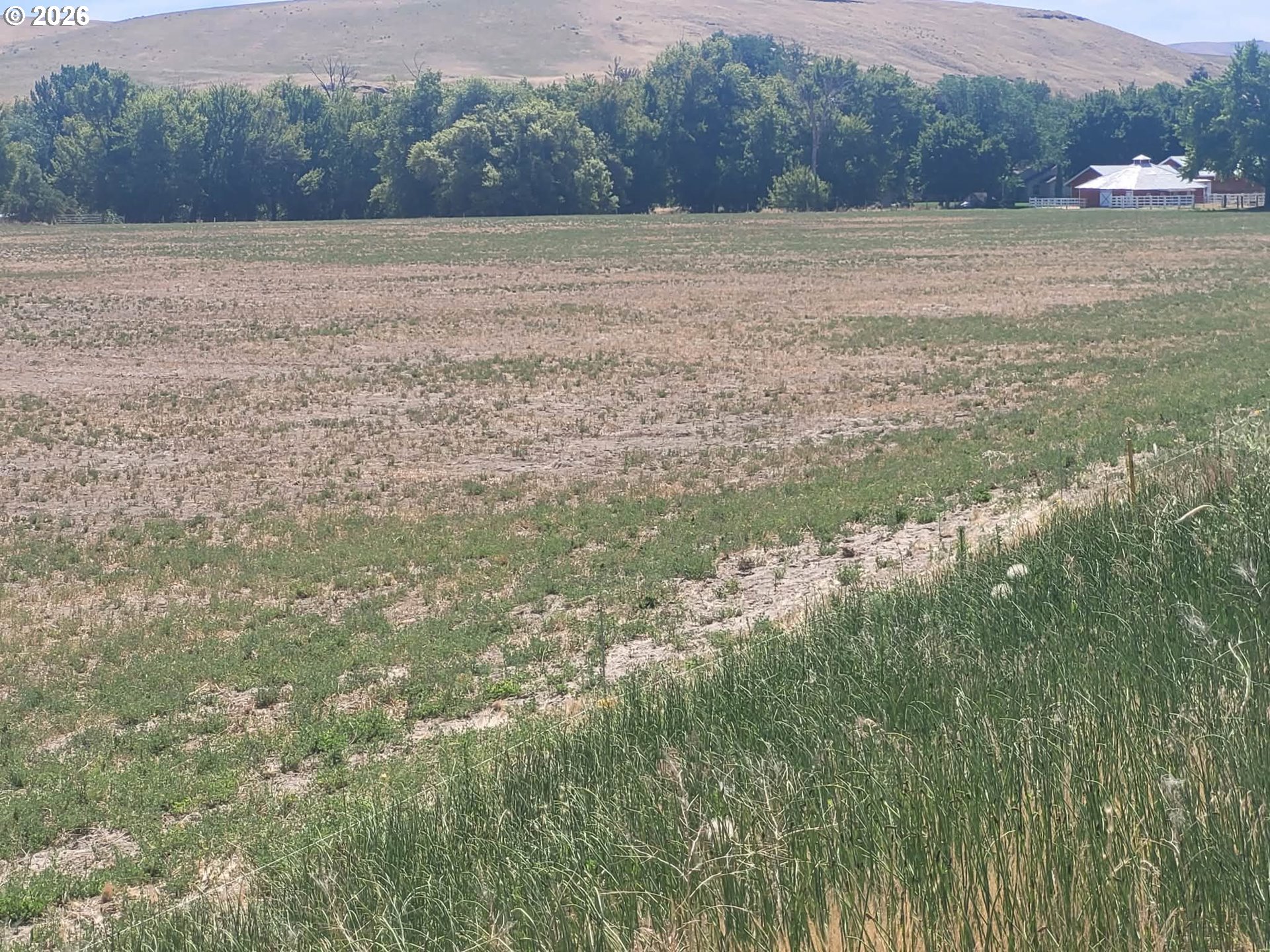 Haney Property Photo 9