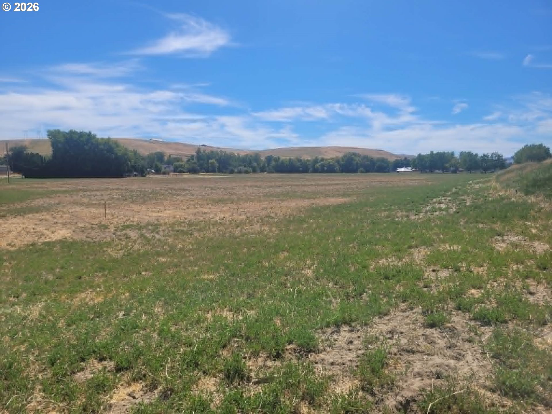 Haney Property Photo 10