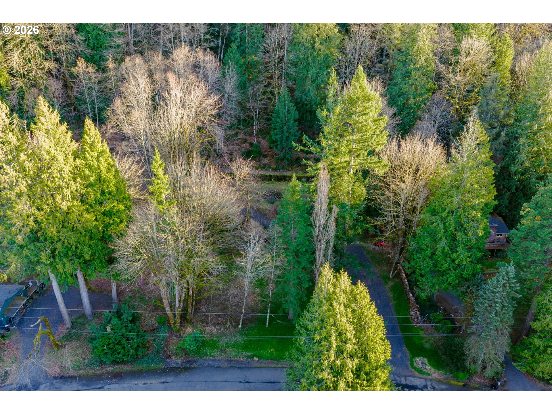 54040 E Alder Heights Rd Property Photo 4