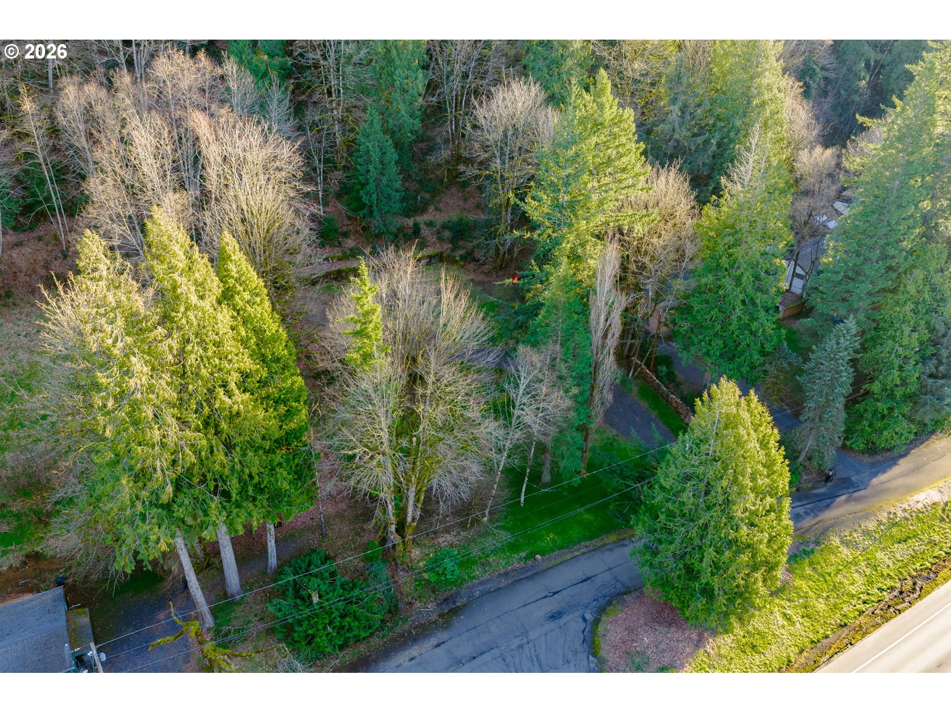 54040 E Alder Heights Rd Property Photo 5