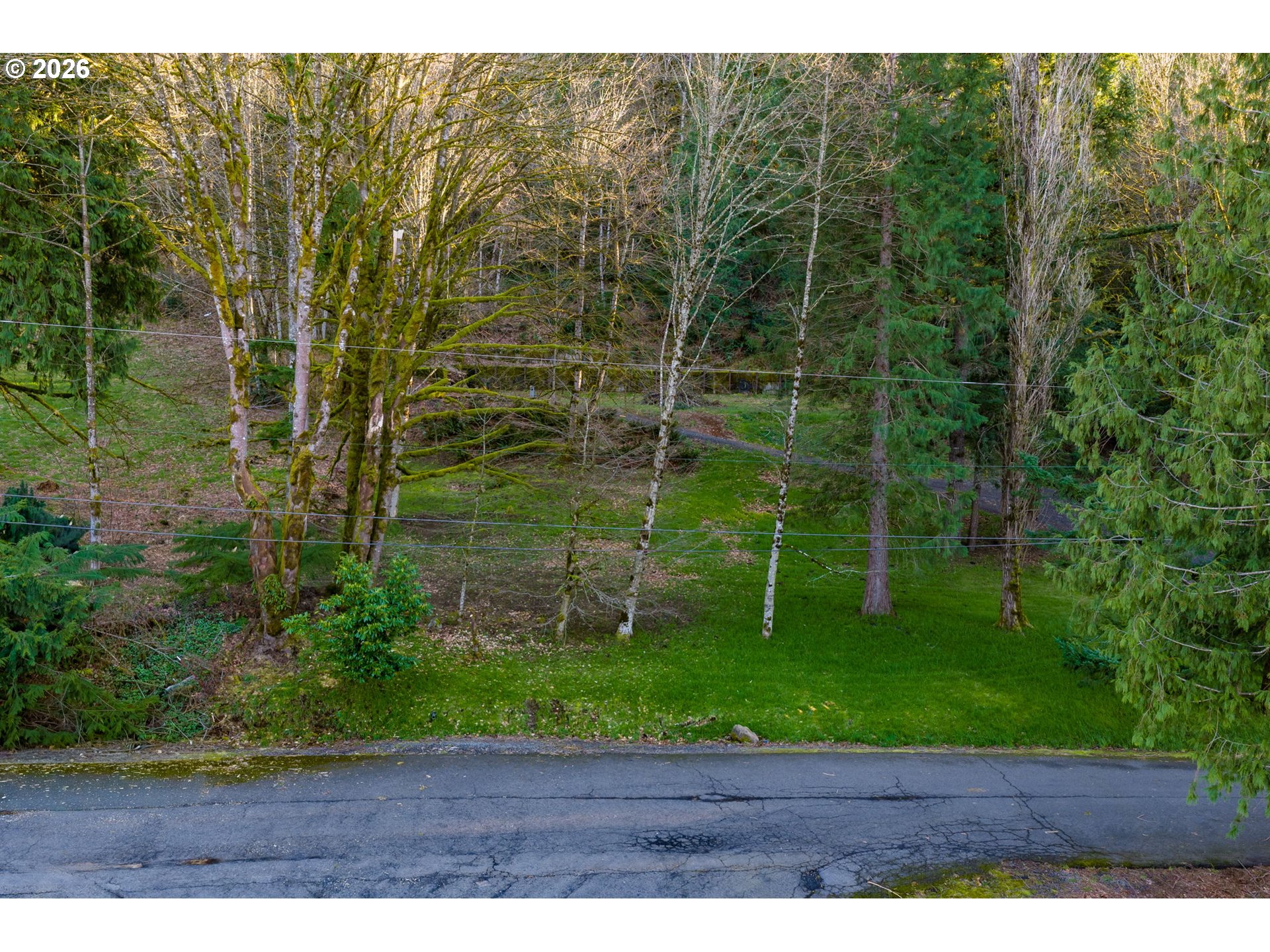 54040 E Alder Heights Rd Property Photo 13