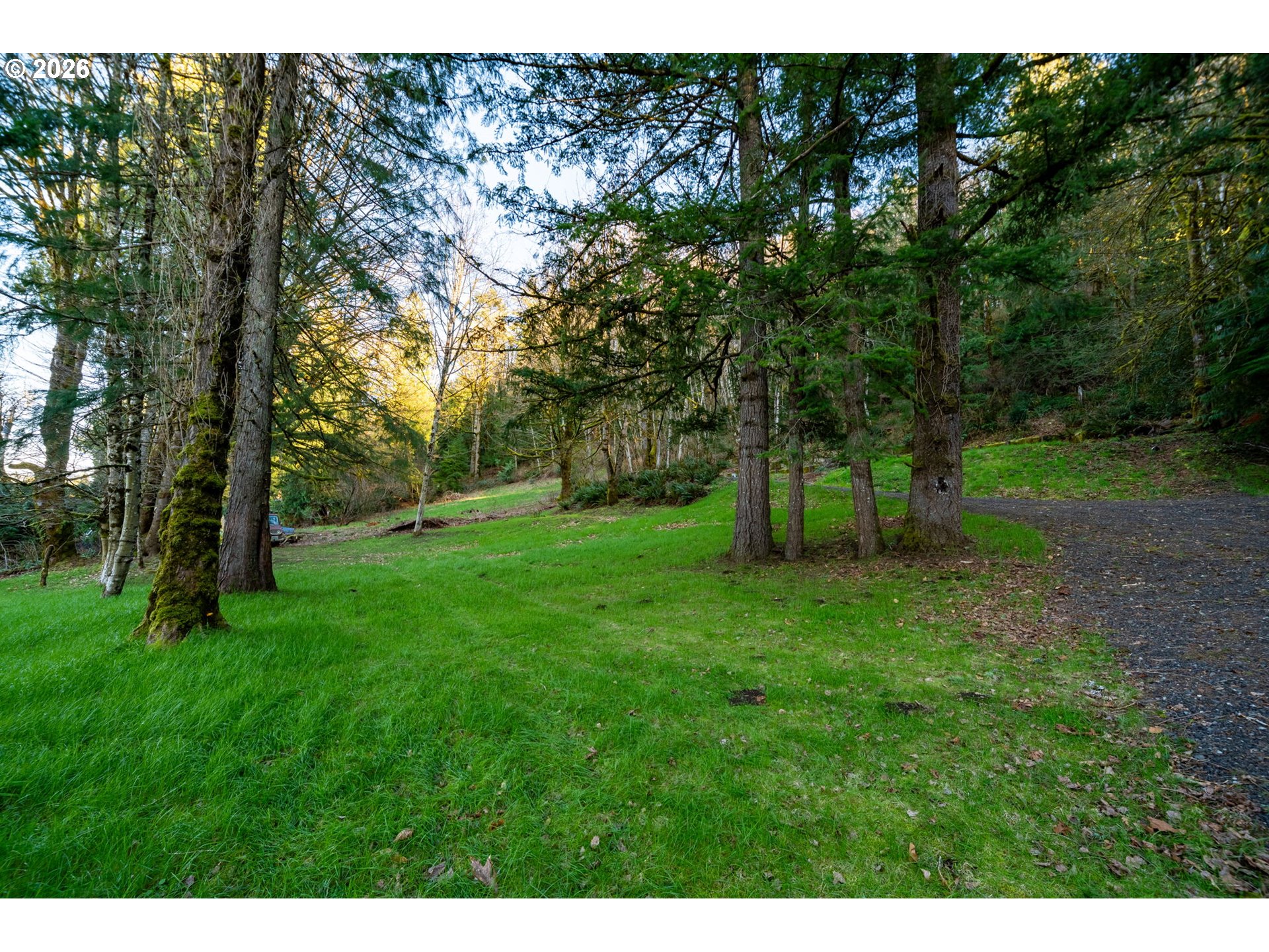 54040 E Alder Heights Rd Property Photo 17