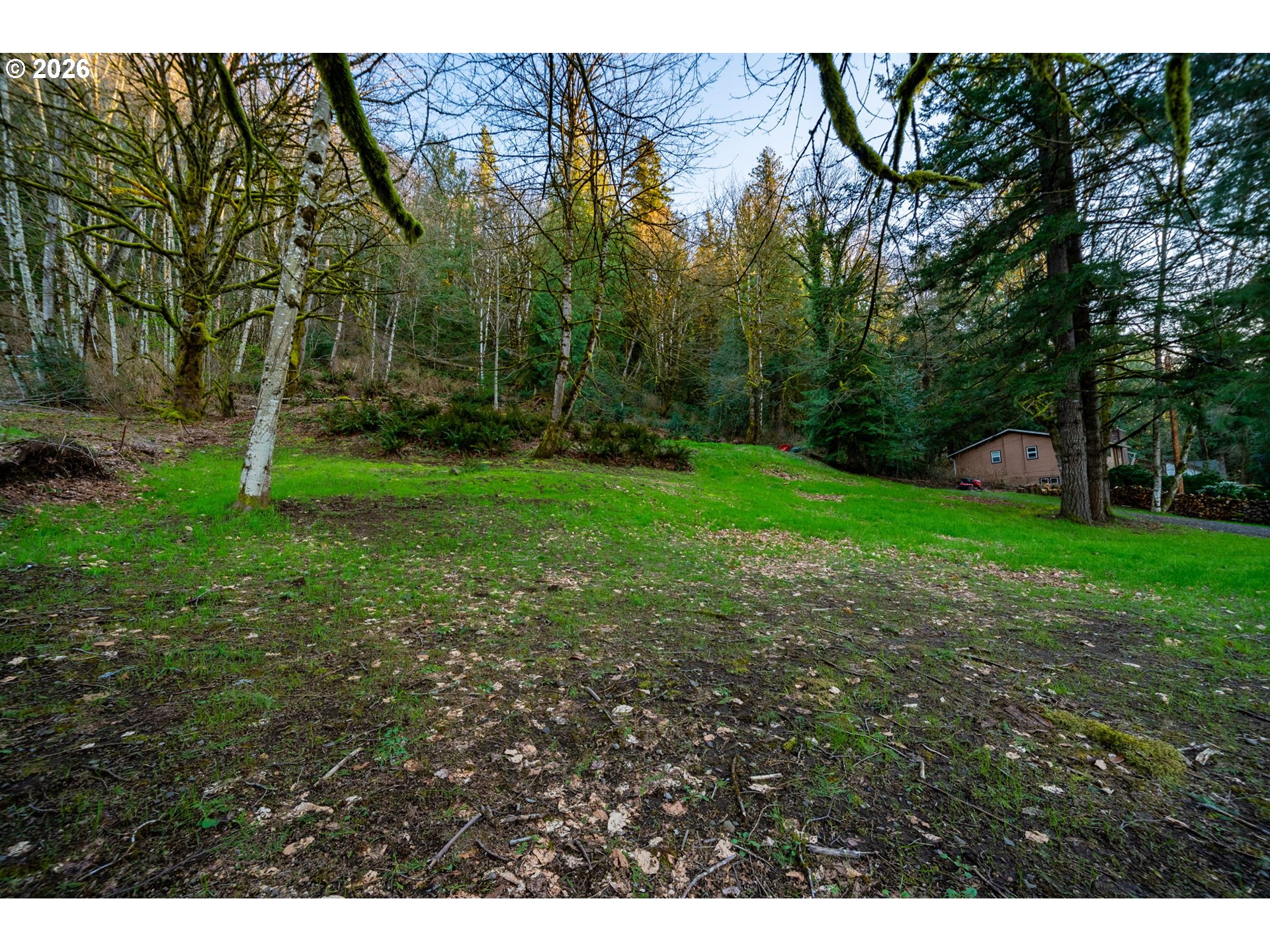54040 E Alder Heights Rd Property Photo 23