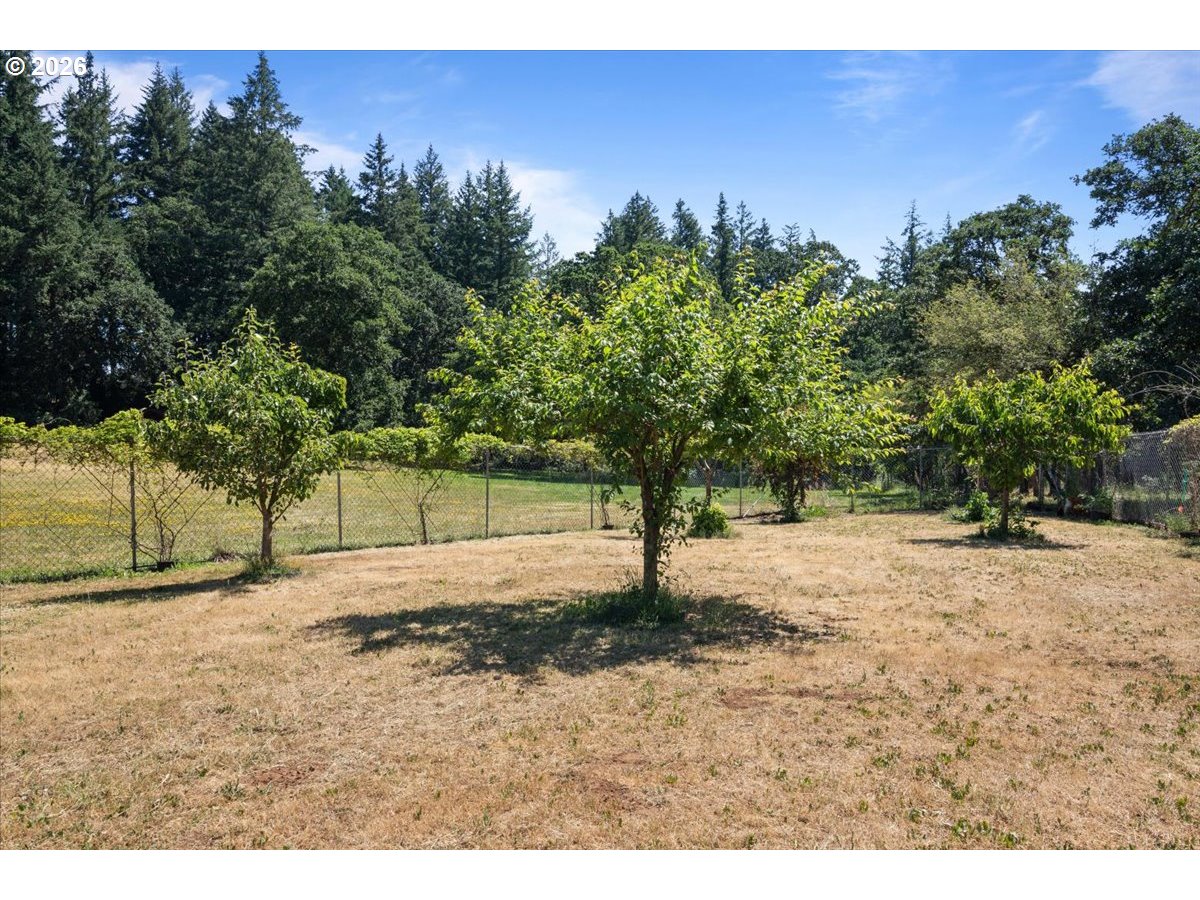 4398 Croisan Ridge Way S Property Photo 38
