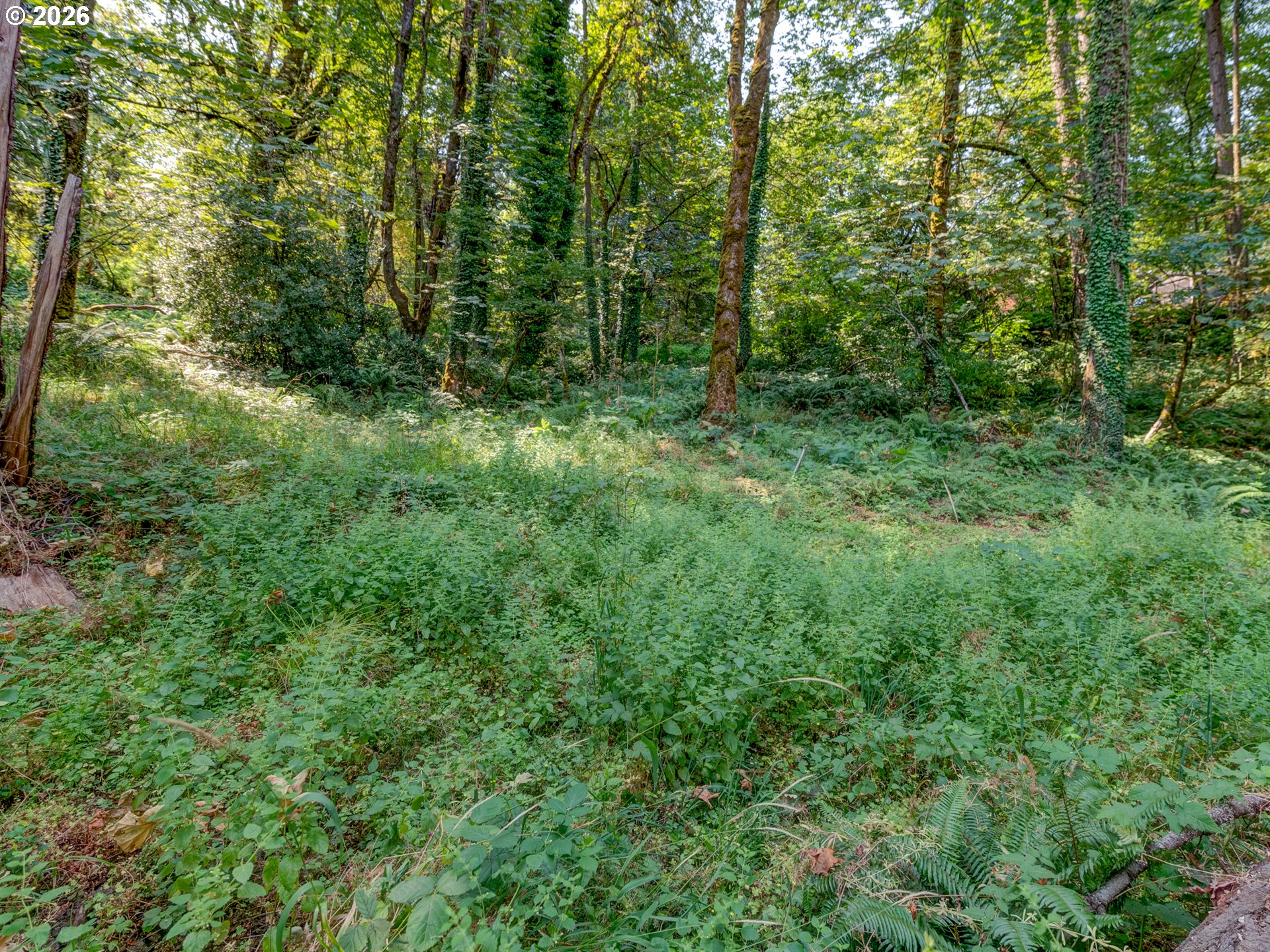 4899 Elva Ln Property Photo 1