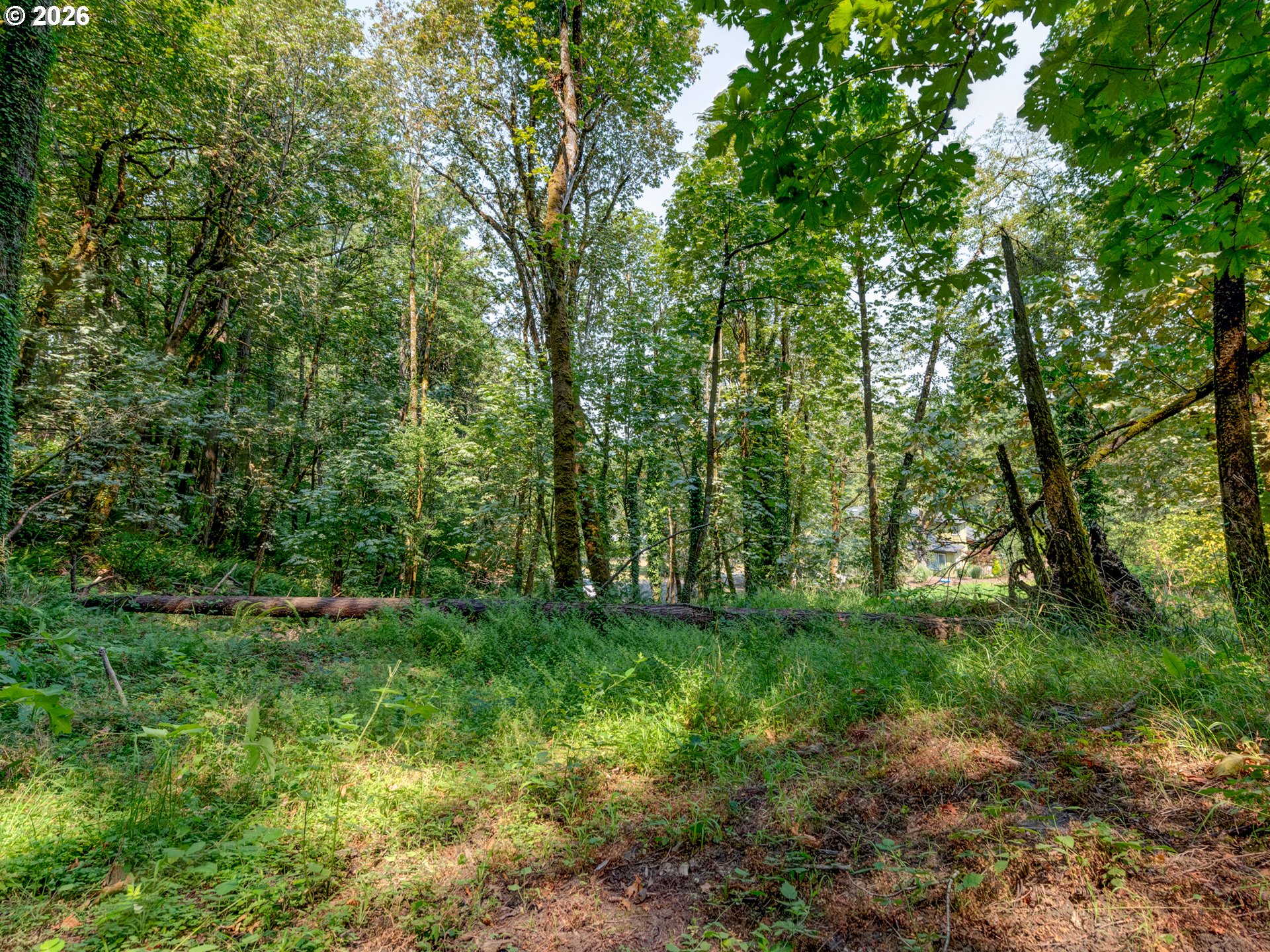 4899 Elva Ln Property Photo 5