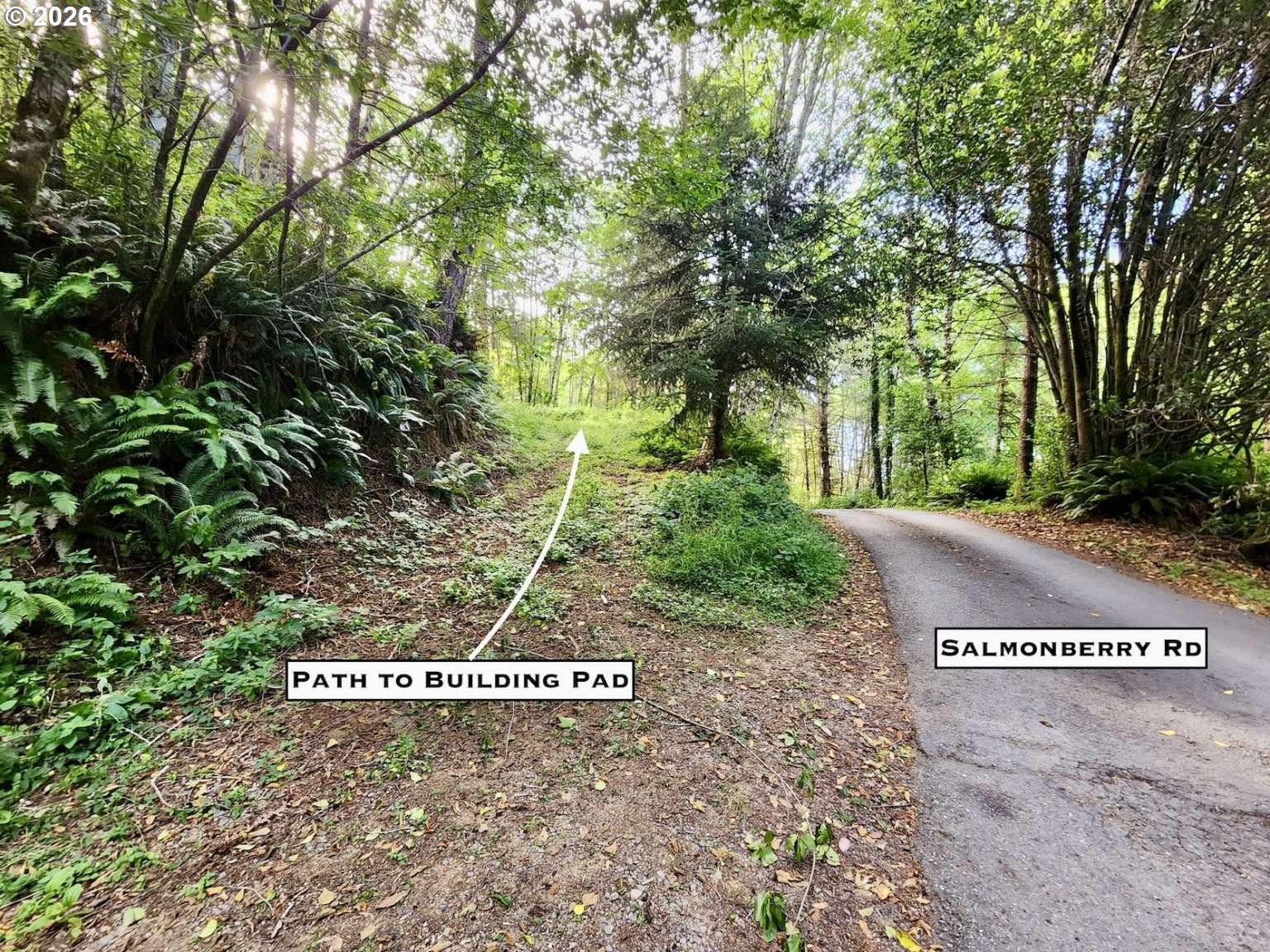 0 Salmonberry Rd Property Photo 4