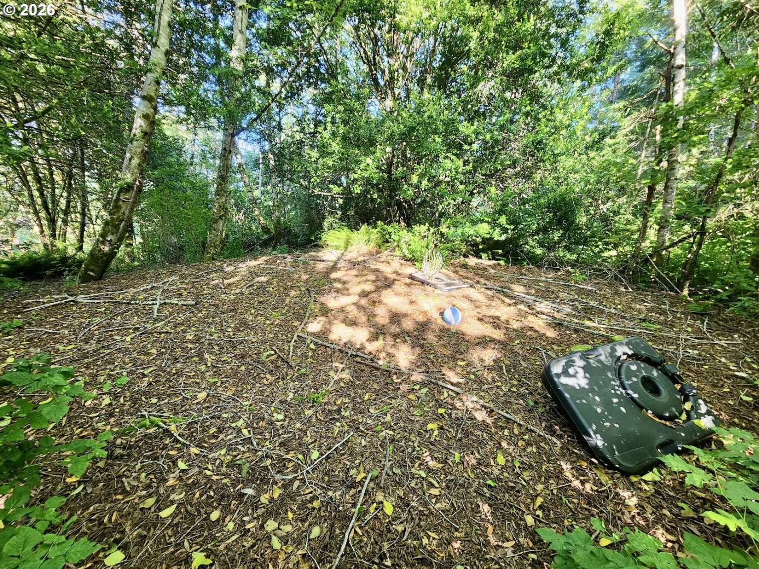 0 Salmonberry Rd Property Photo 7