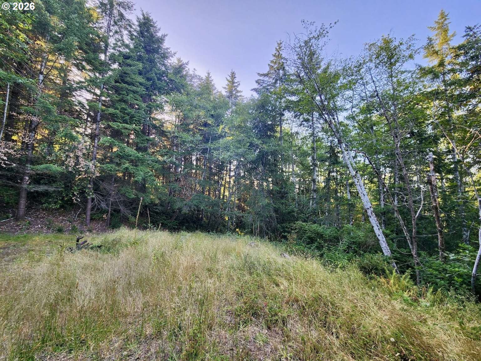 0 Salmonberry Rd Property Photo 8