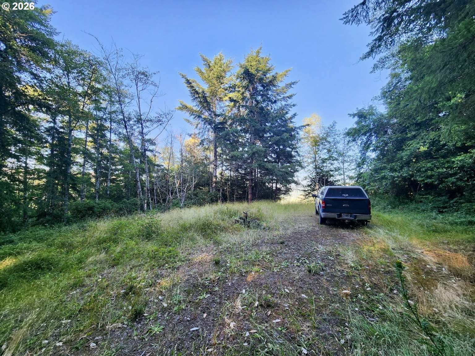 0 Salmonberry Rd Property Photo 12