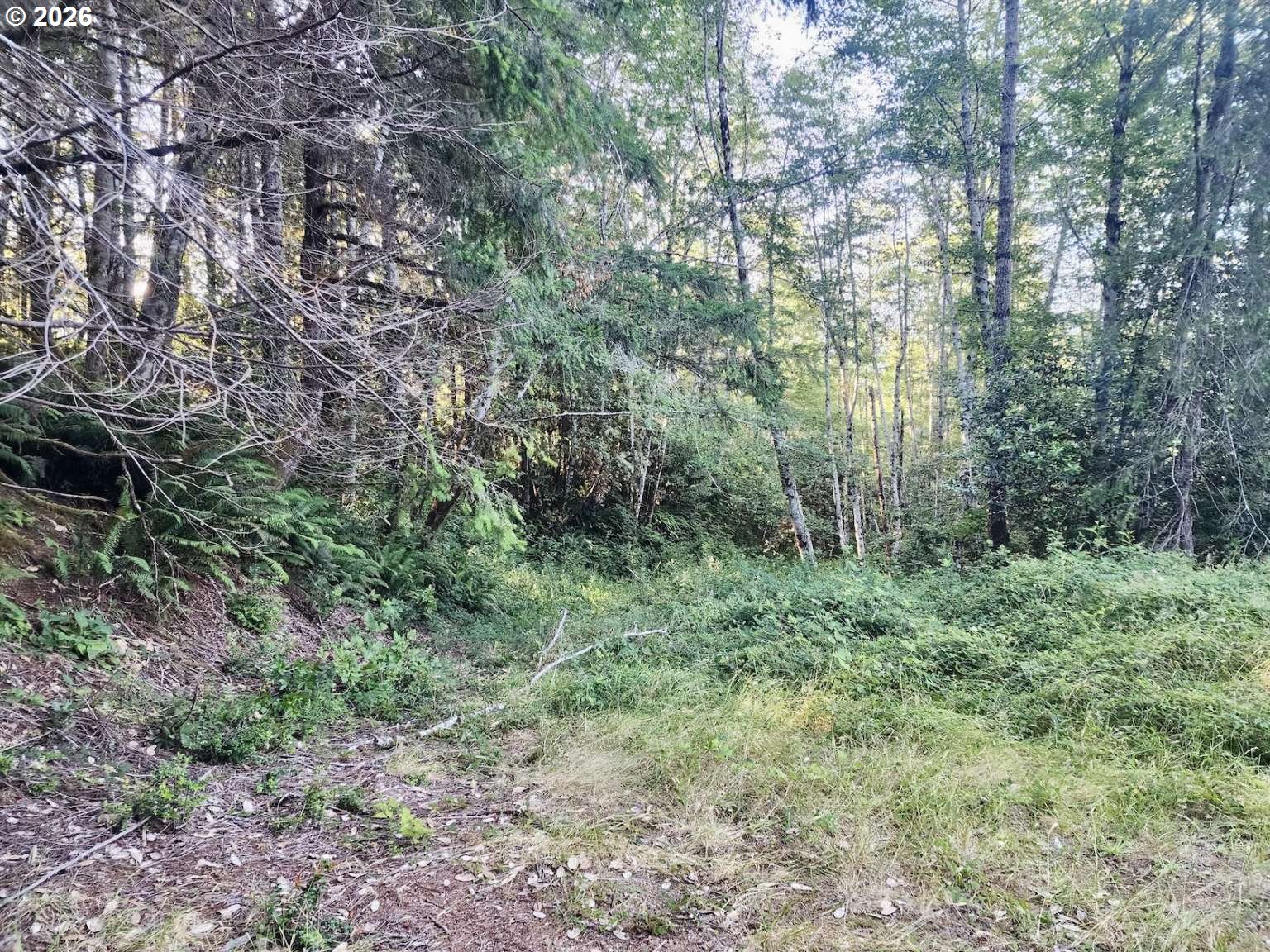 0 Salmonberry Rd Property Photo 22