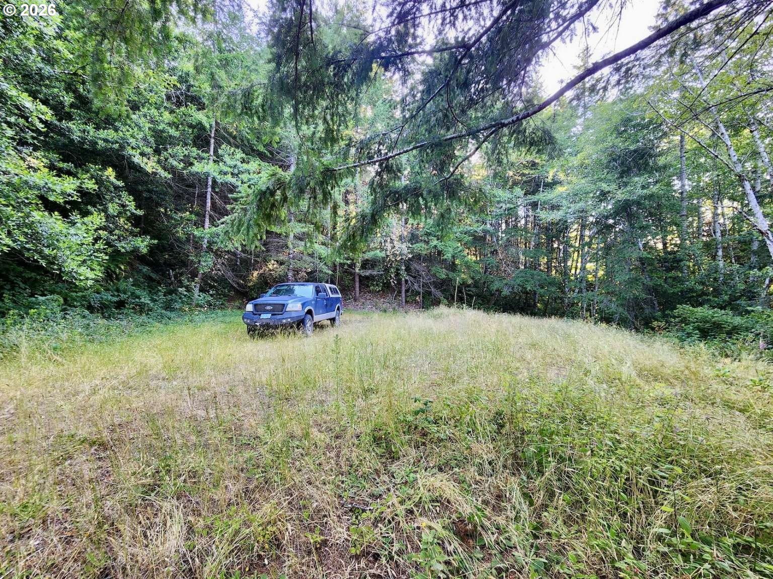 0 Salmonberry Rd Property Photo 23