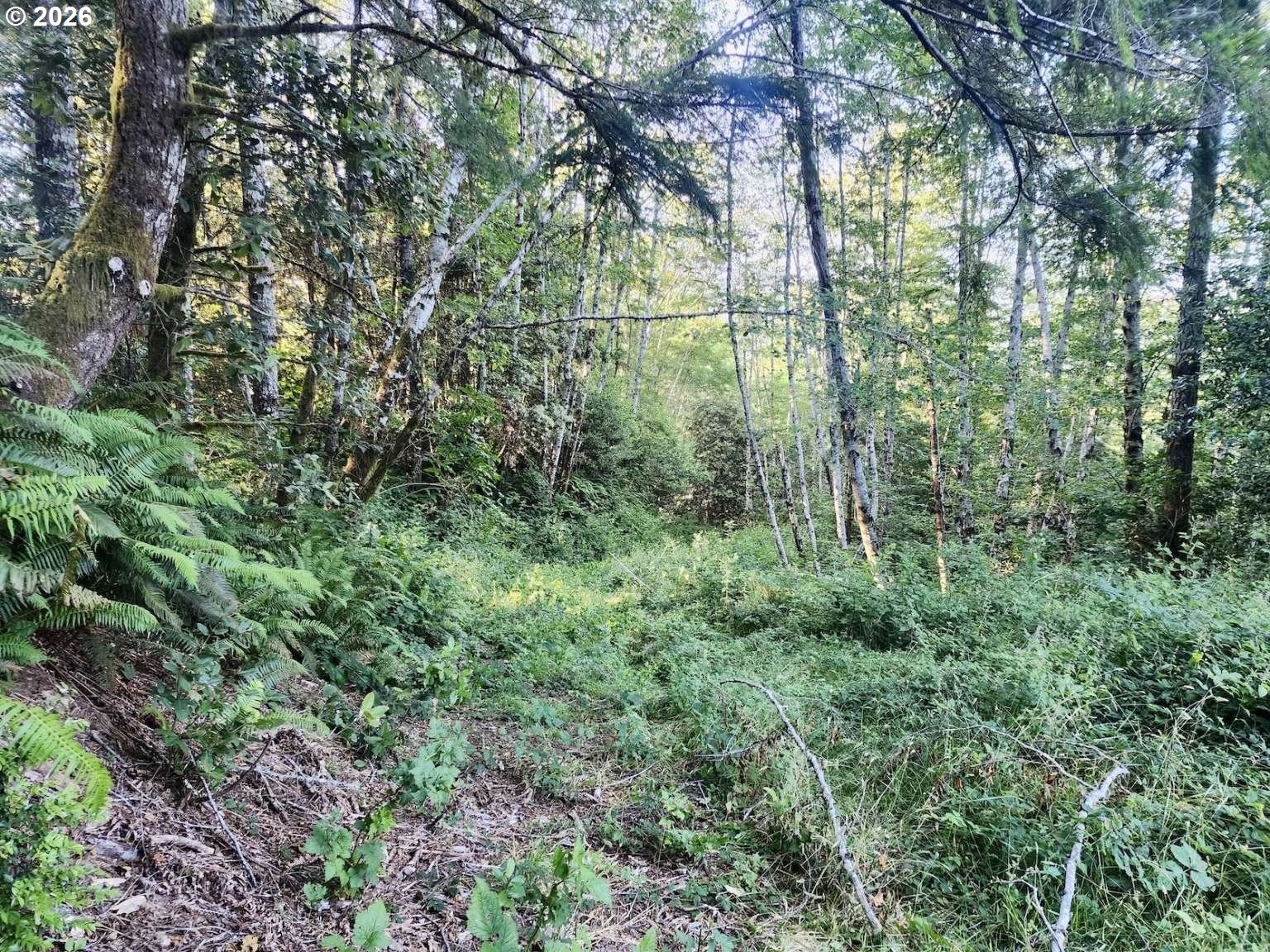 0 Salmonberry Rd Property Photo 24
