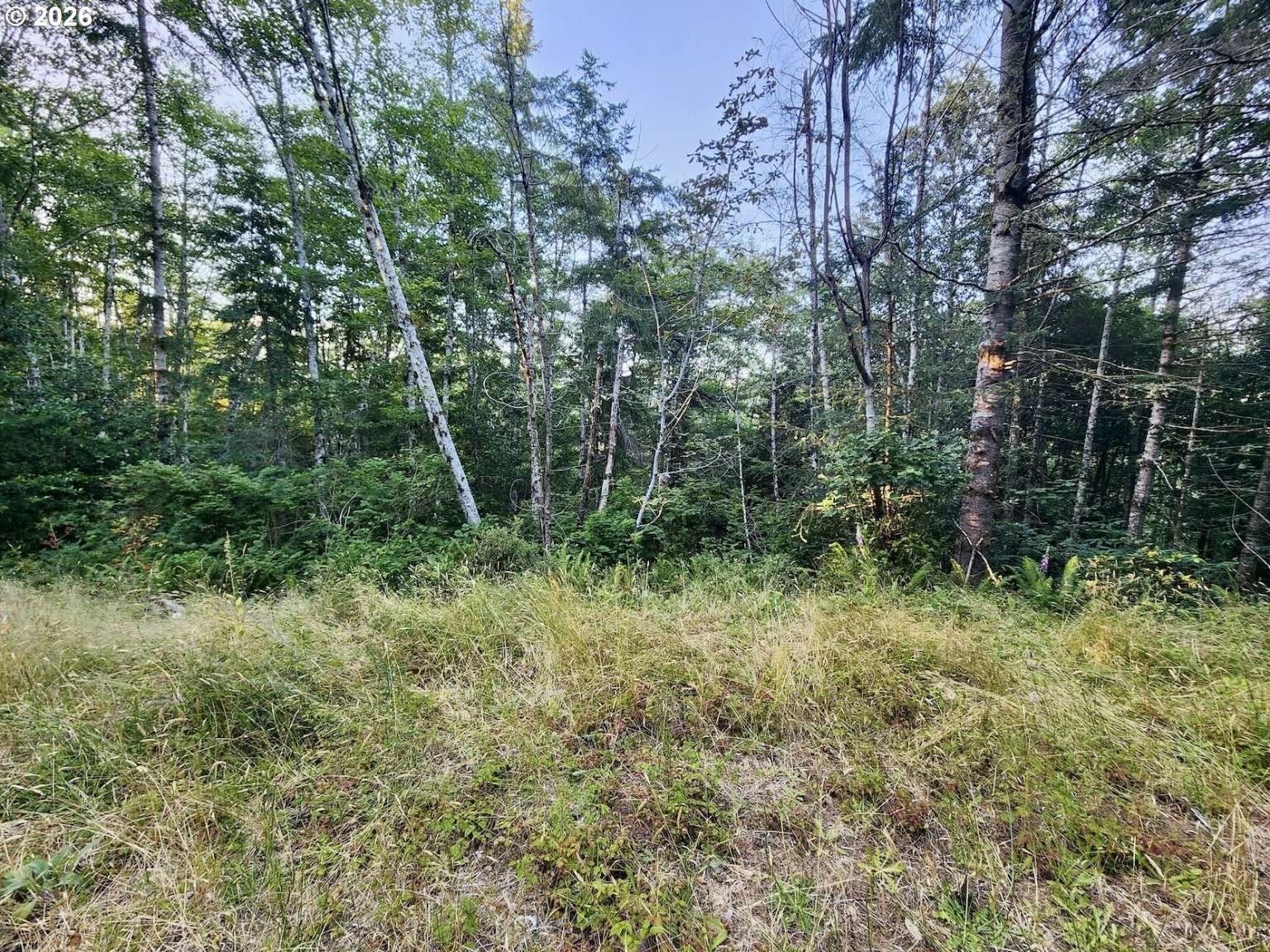 0 Salmonberry Rd Property Photo 26