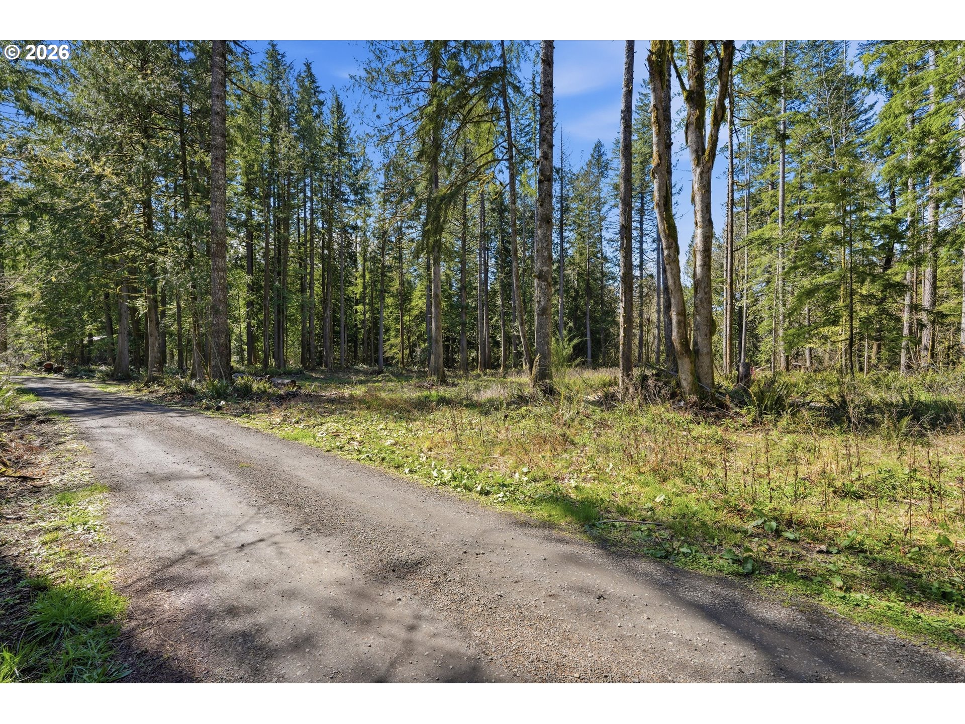 57214 E Marmot Rd Property Photo 37