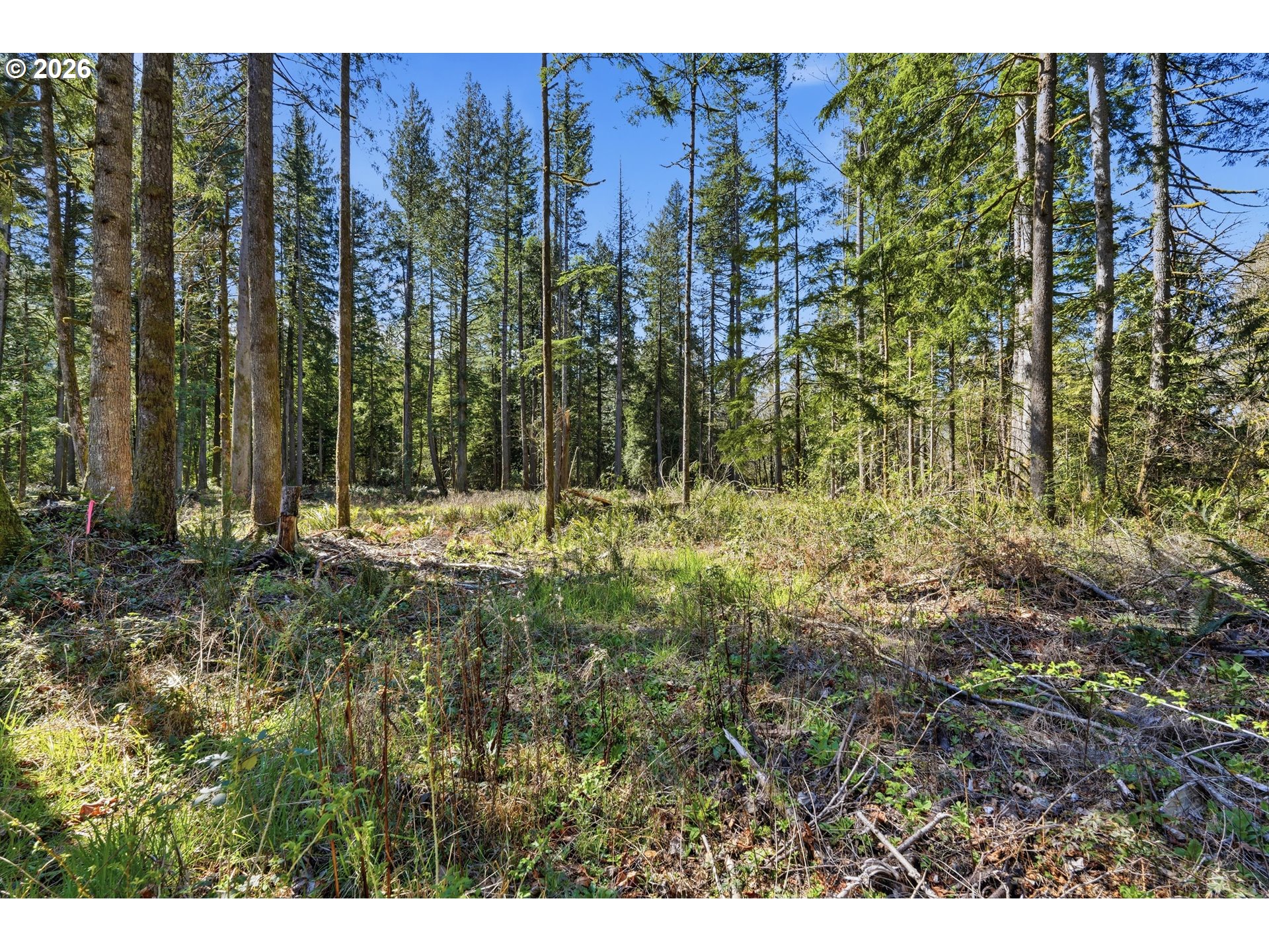 57214 E Marmot Rd Property Photo 39