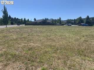 S Hwy 99 Property Photo 3