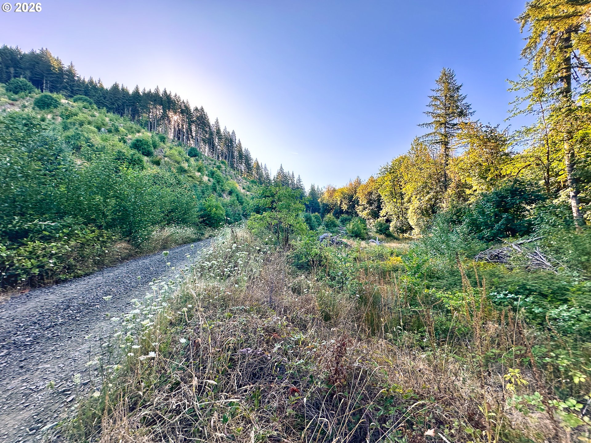Honeygrove Rd Tl200 Property Photo 1