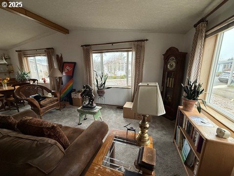 1199 N Terry St 139 Property Photo 15